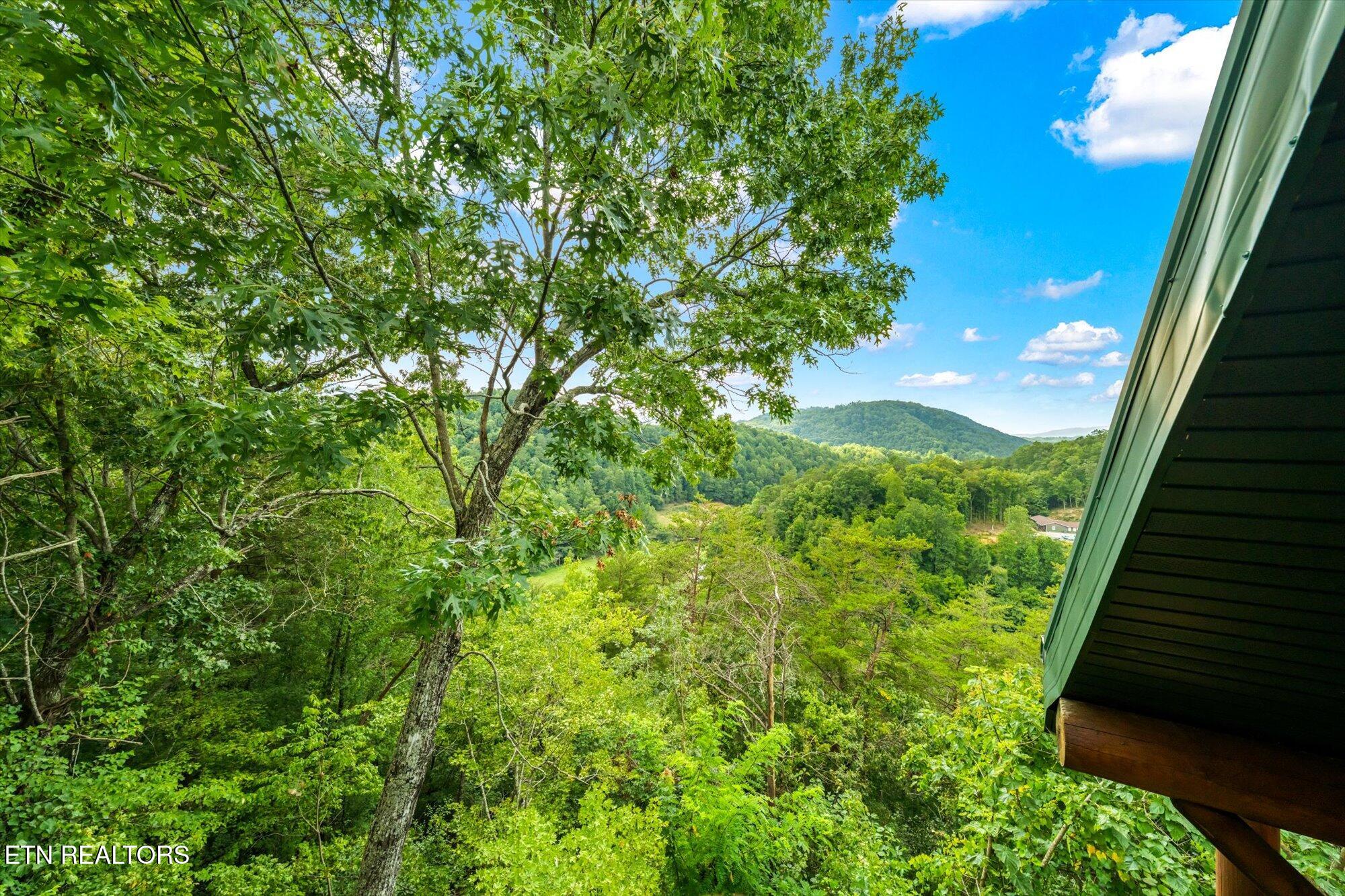 4430 New Pioneer Trail Pigeon Forge TN 37863