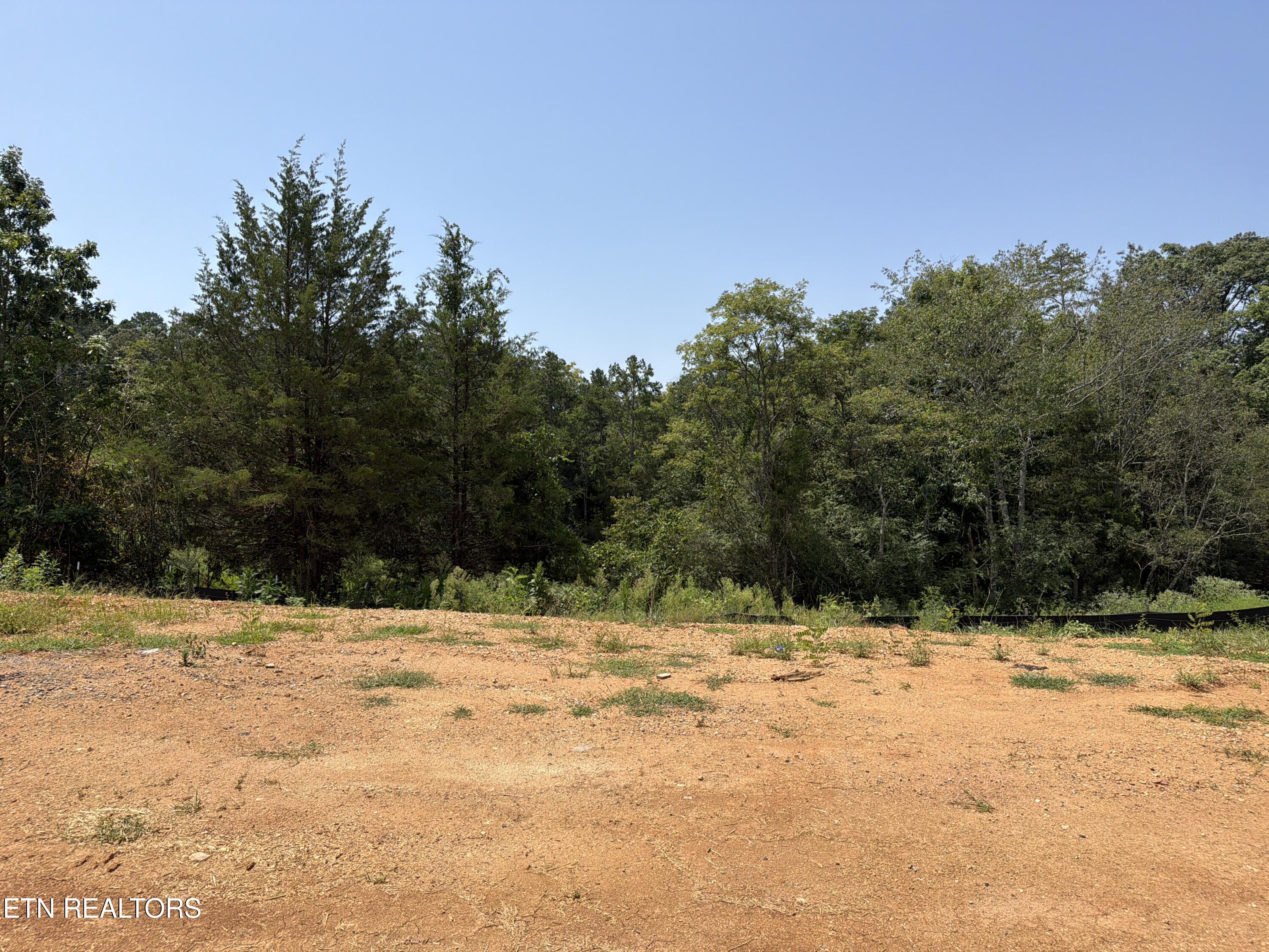 Lot 19 Silver Cedar Lane Knoxville TN 37932