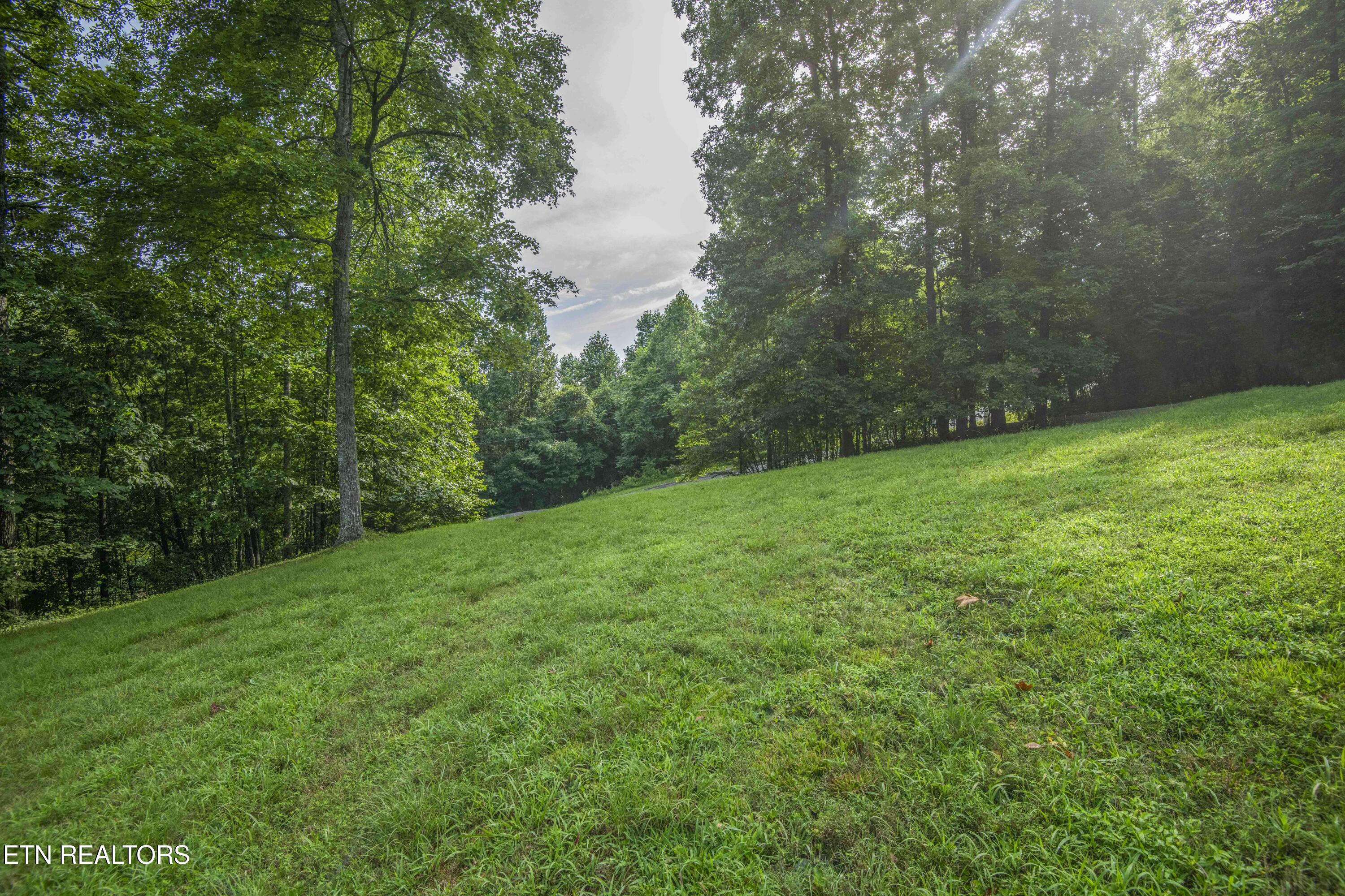 120 Wildcat Hollow Road New Tazewell TN 37825