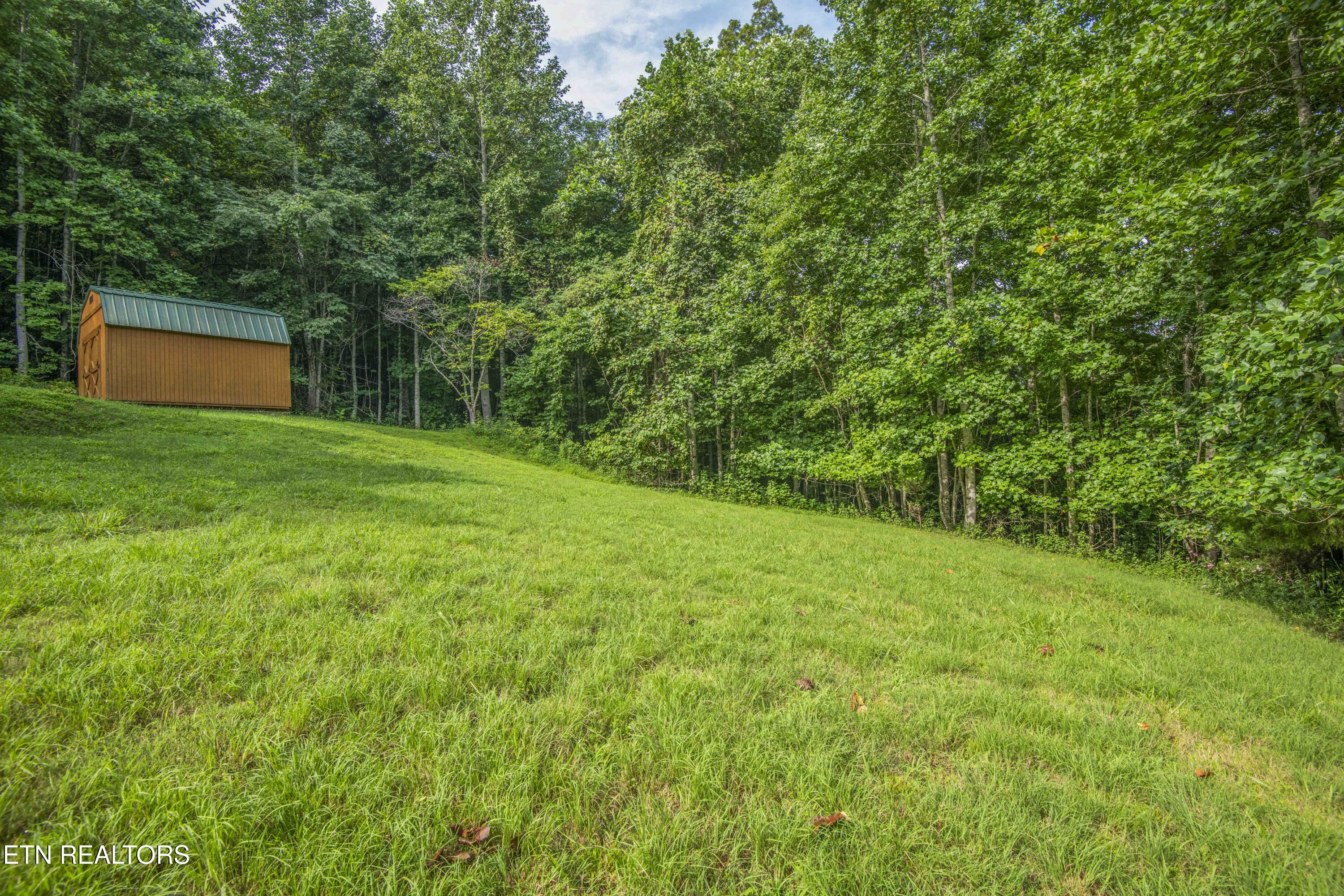 120 Wildcat Hollow Road New Tazewell TN 37825