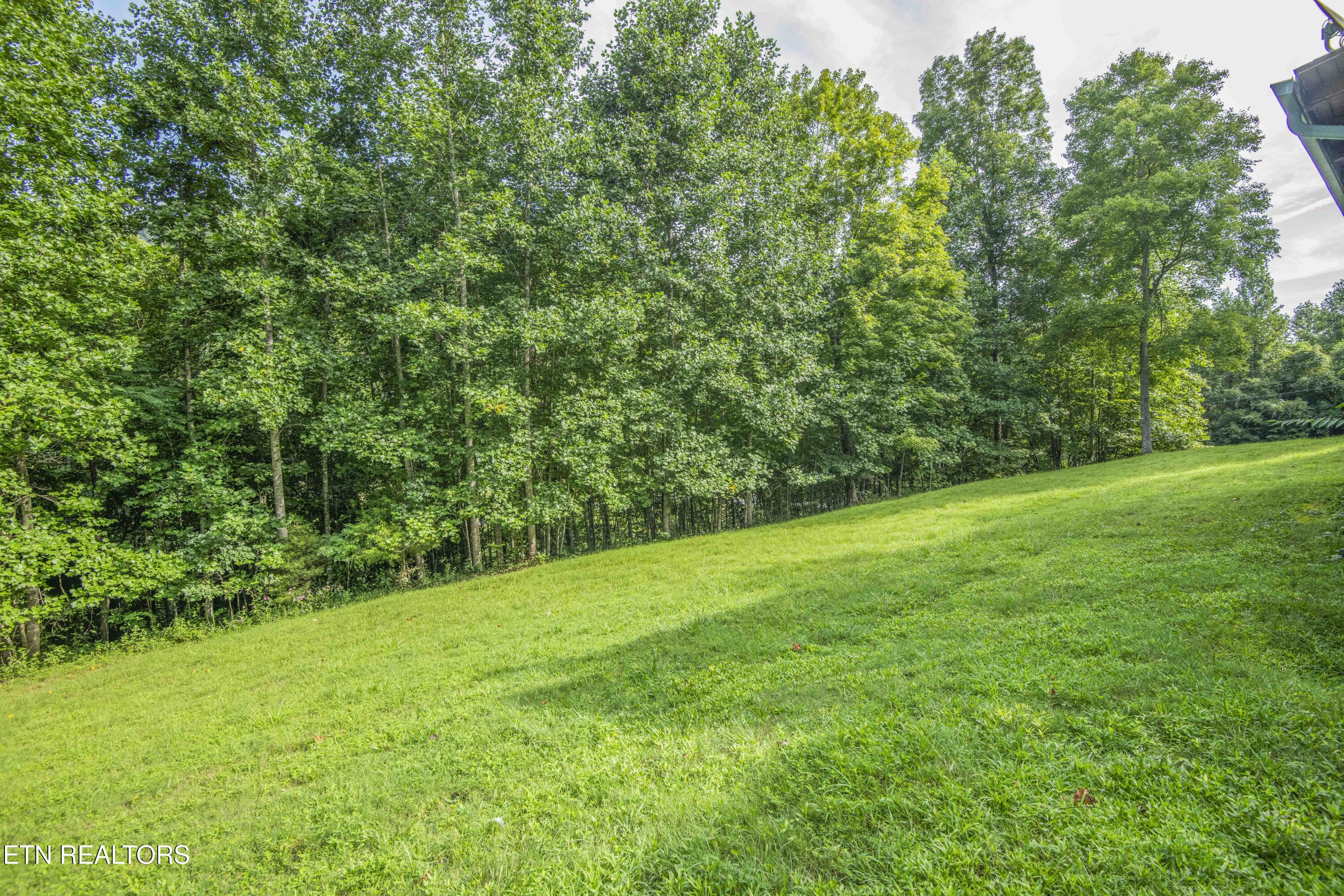 120 Wildcat Hollow Road New Tazewell TN 37825