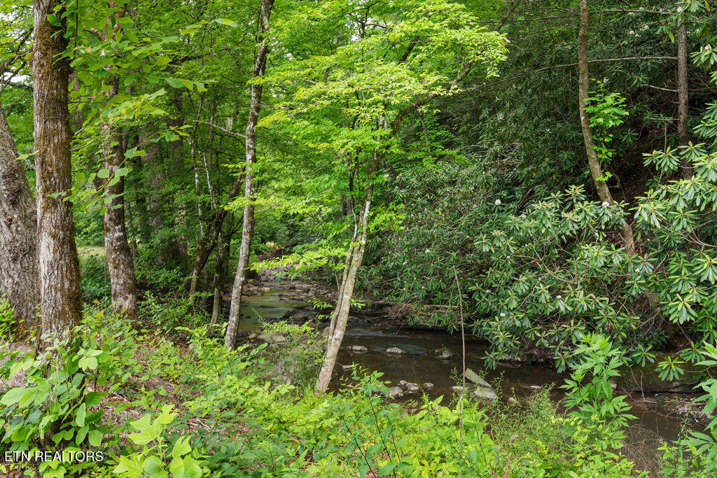2215 Sawmill Cove Drive Sevierville TN 37862