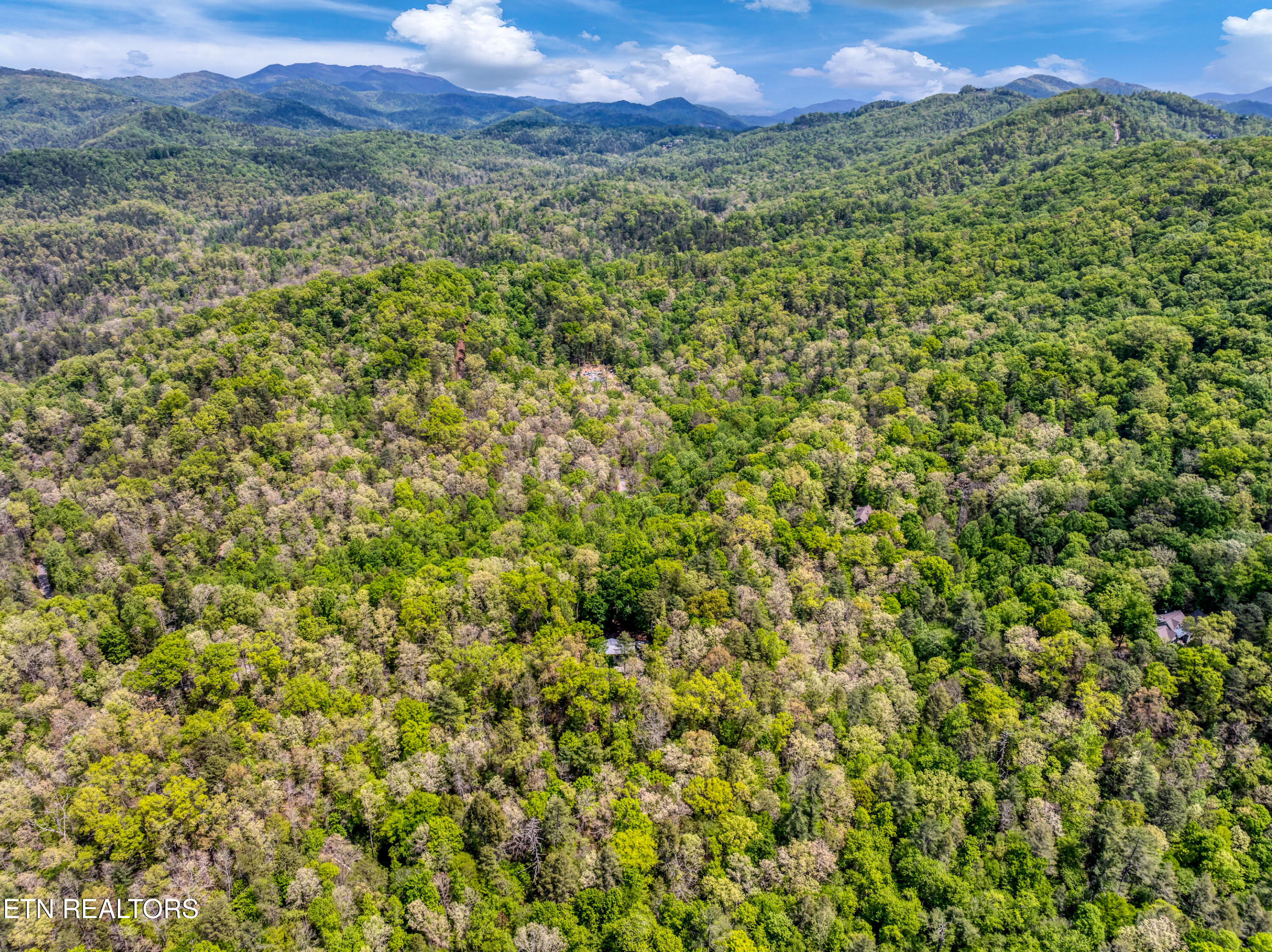 2210 Turkey Roost Road Walland TN 37886
