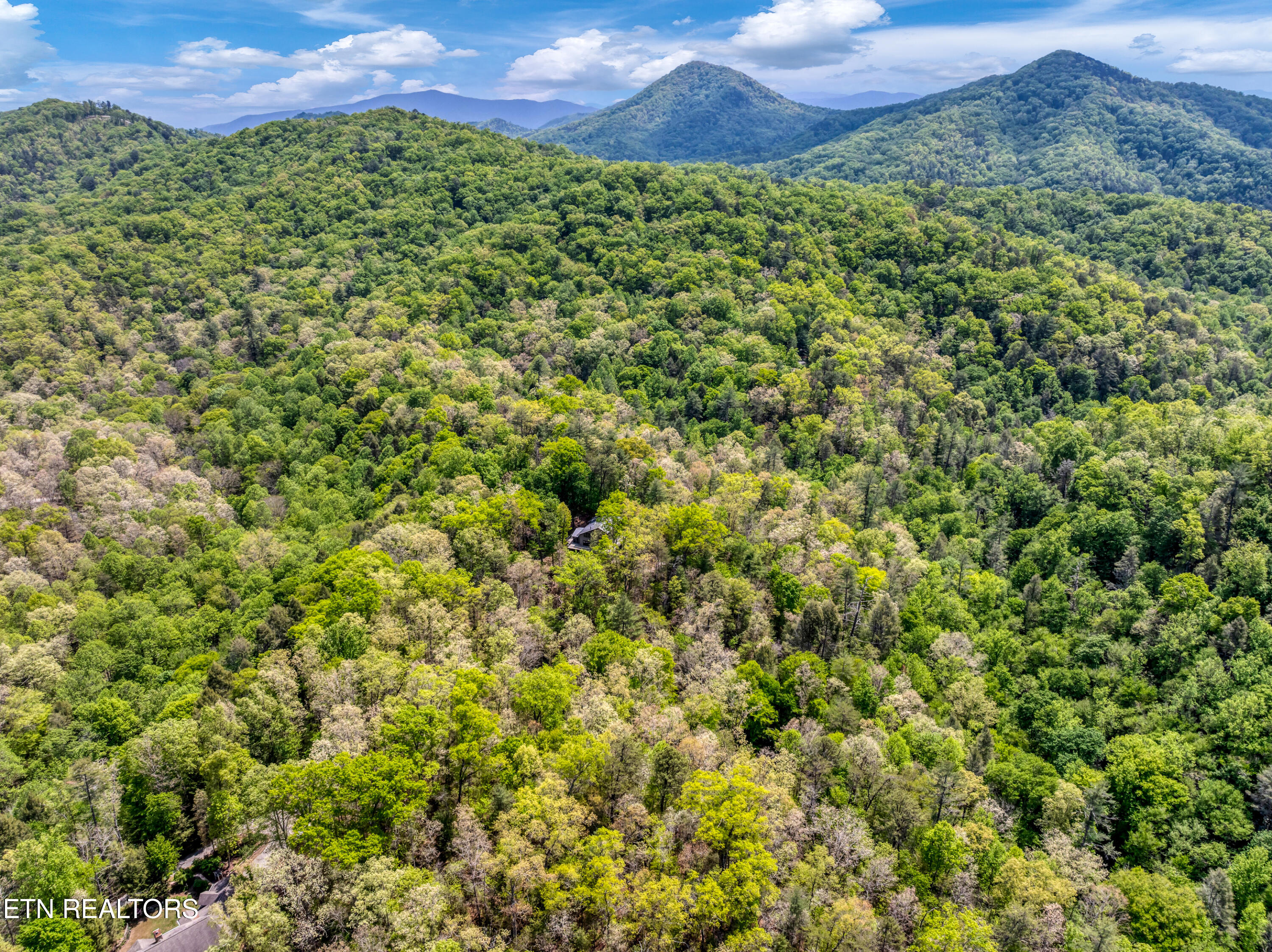 2210 Turkey Roost Road Walland TN 37886