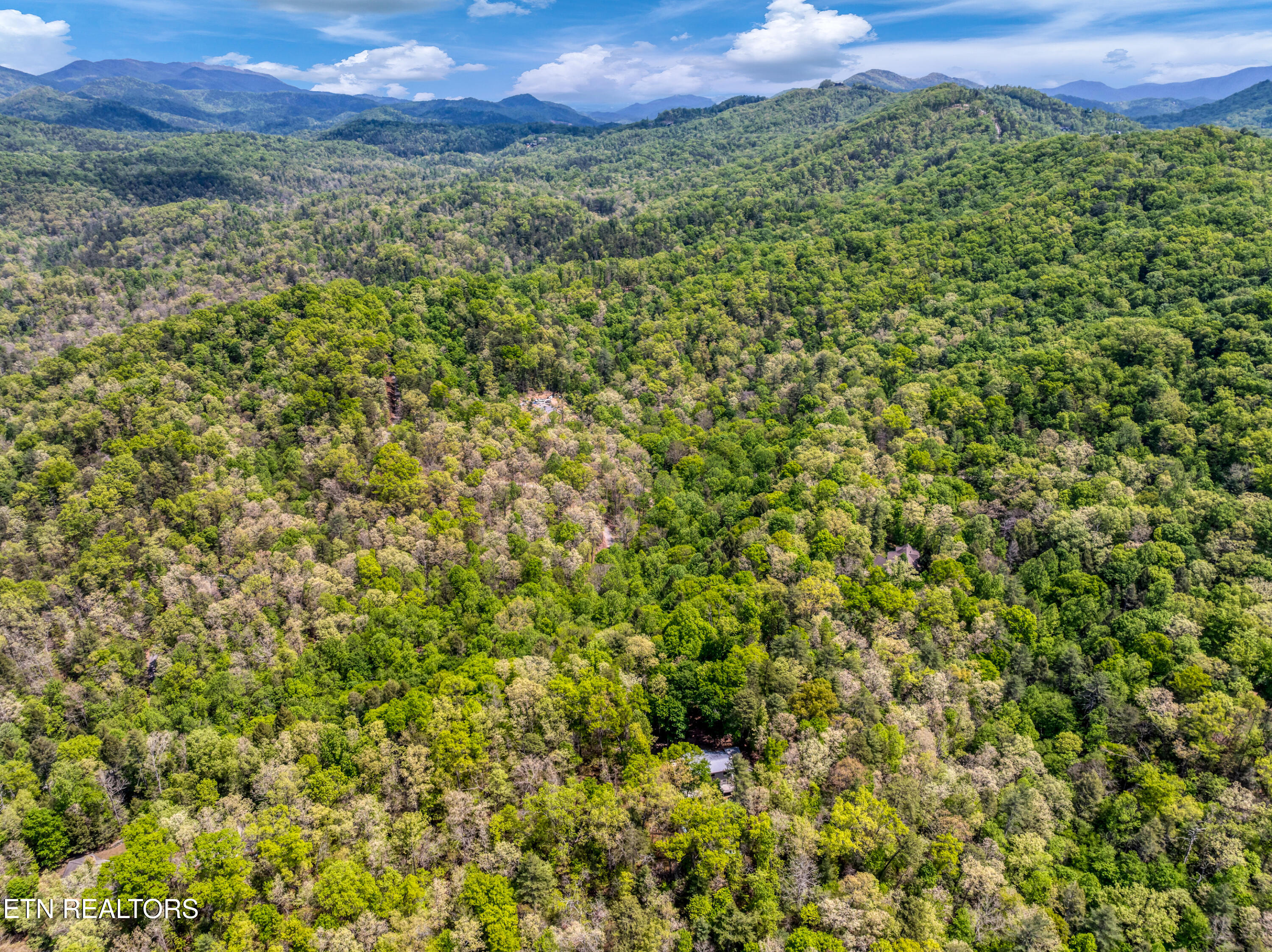 2210 Turkey Roost Road Walland TN 37886