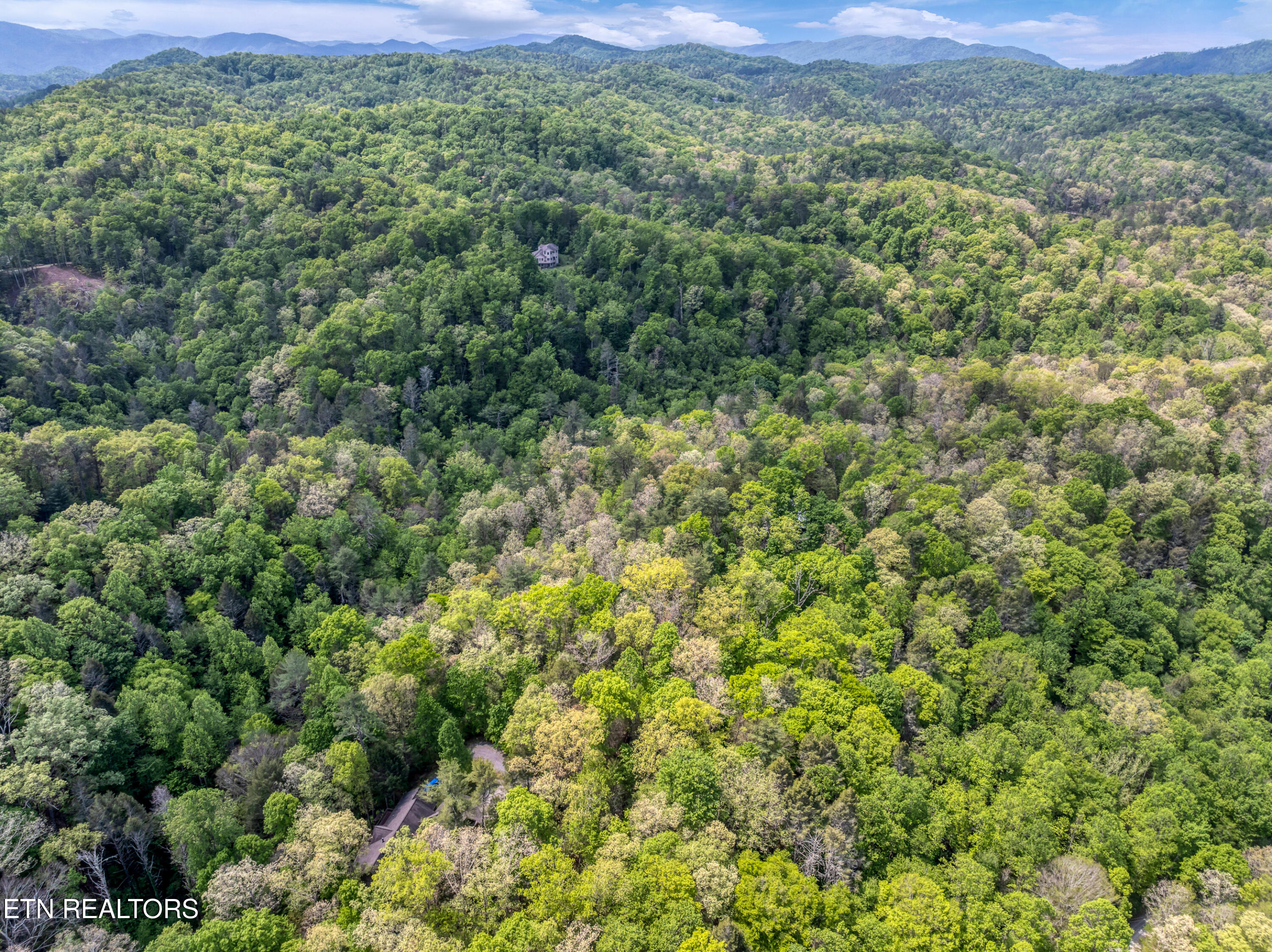 2210 Turkey Roost Road Walland TN 37886