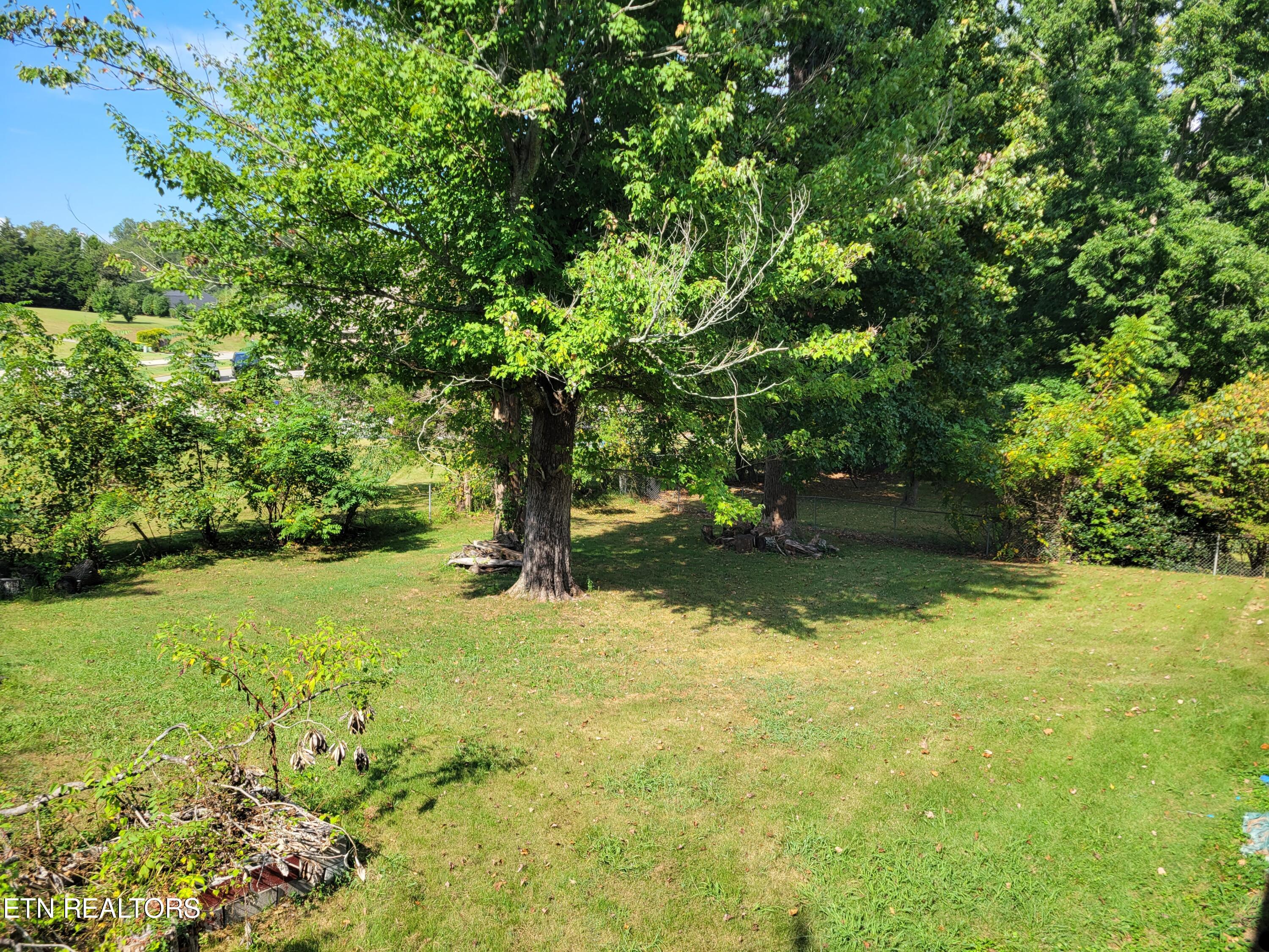 1125 Ponderosa Drive Powell TN 37849