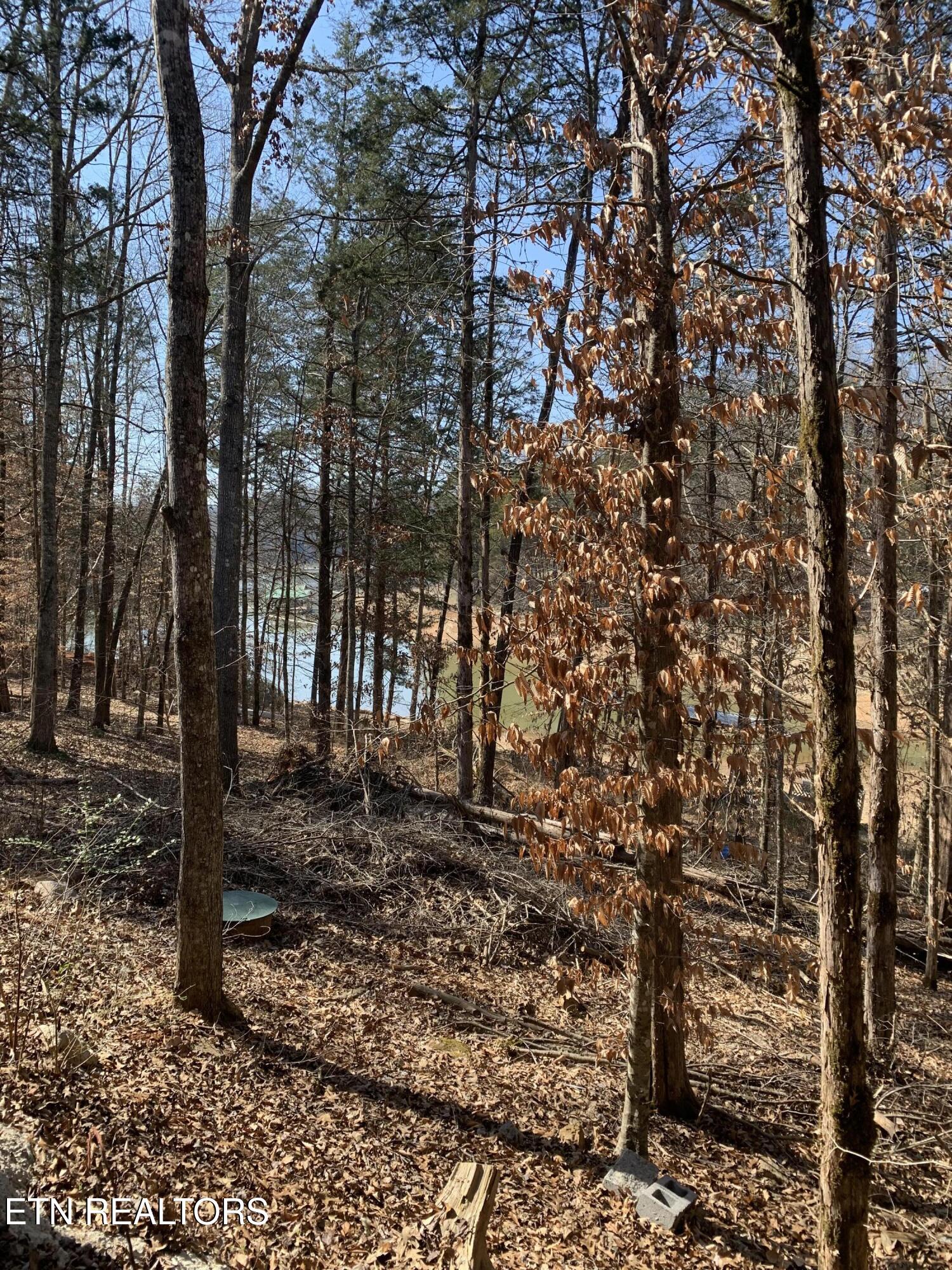 317 Highland Trace Road Sharps Chapel TN 37866