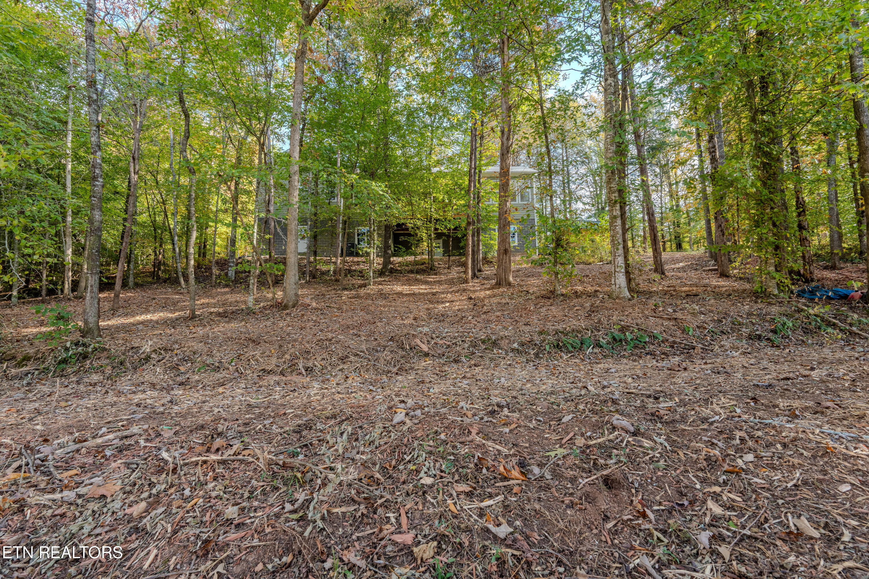 317 Highland Trace Road Sharps Chapel TN 37866