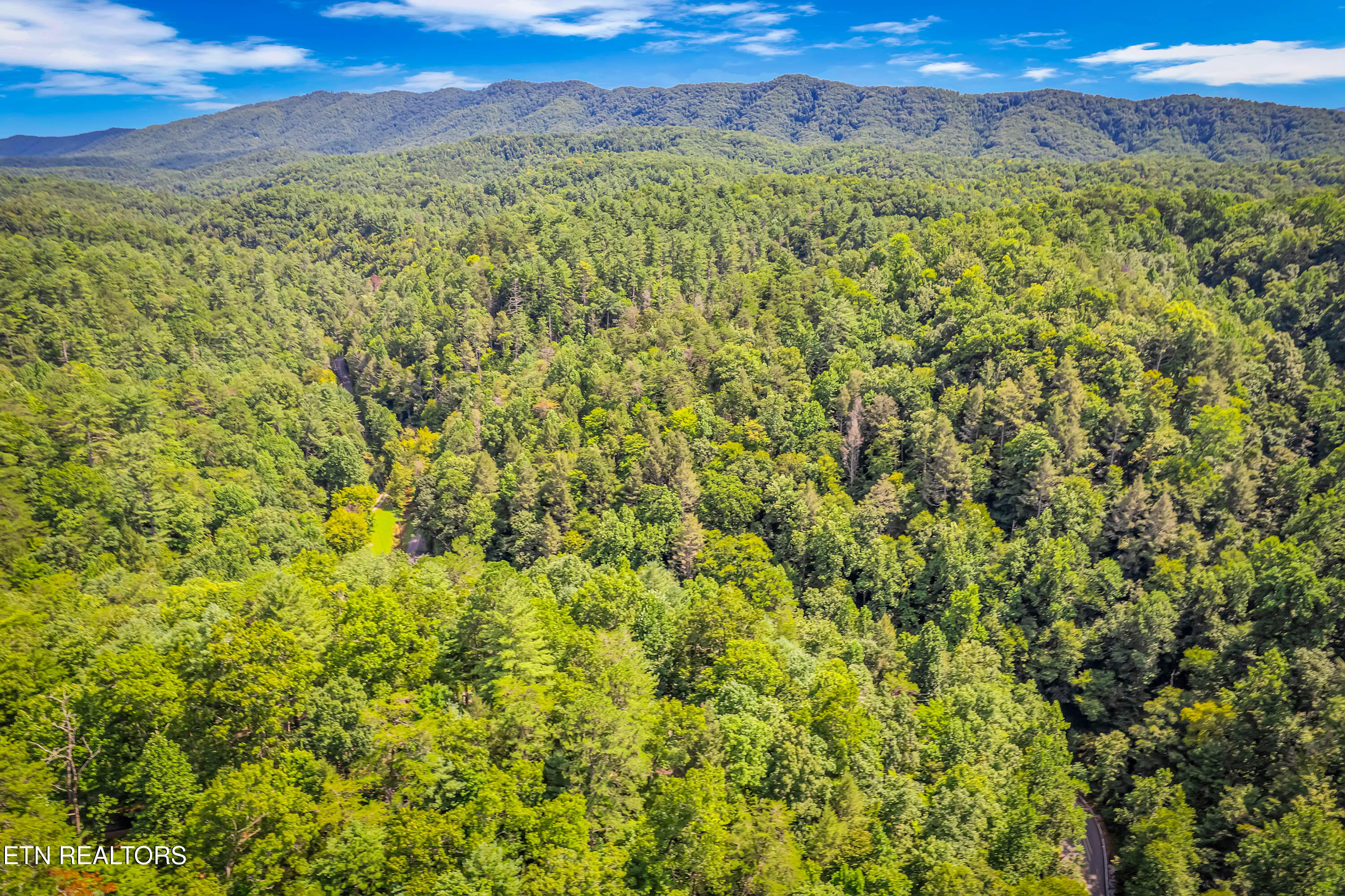 4081 Henry Town Road Sevierville TN 37876
