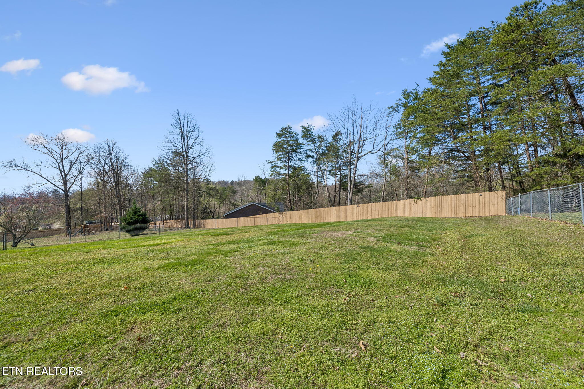 729 Clydesdale Avenue Seymour TN 37865