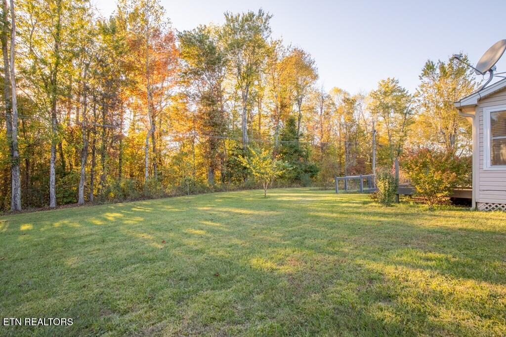 344 Meadows Road Sparta TN 38583