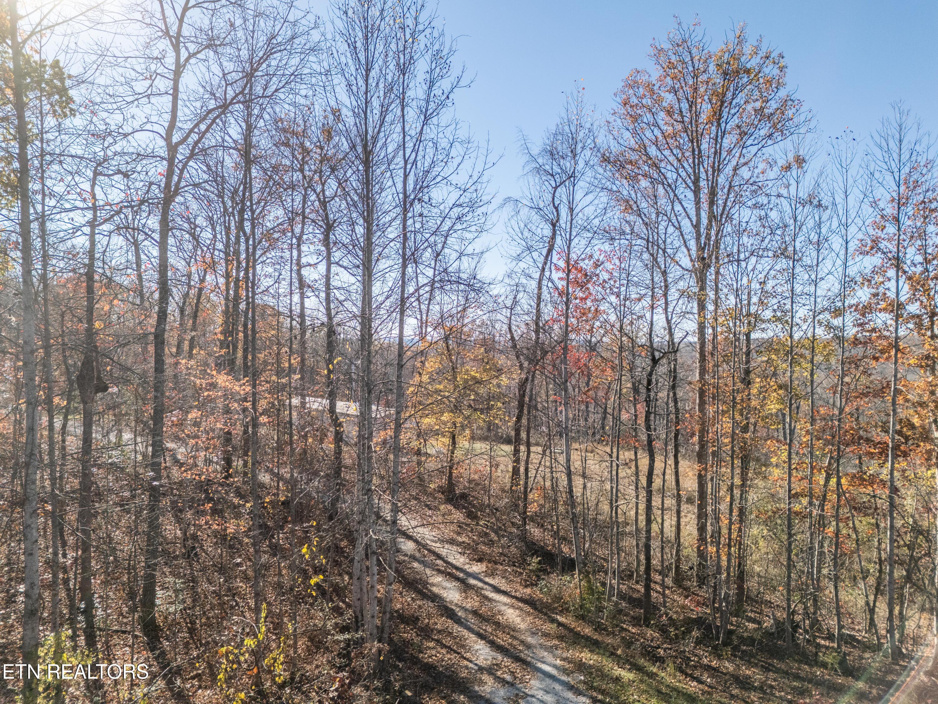 2882 Brewer Road Crossville TN 38572