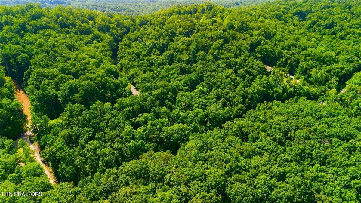 111 Eagle Ridge Road Kingston TN 37763