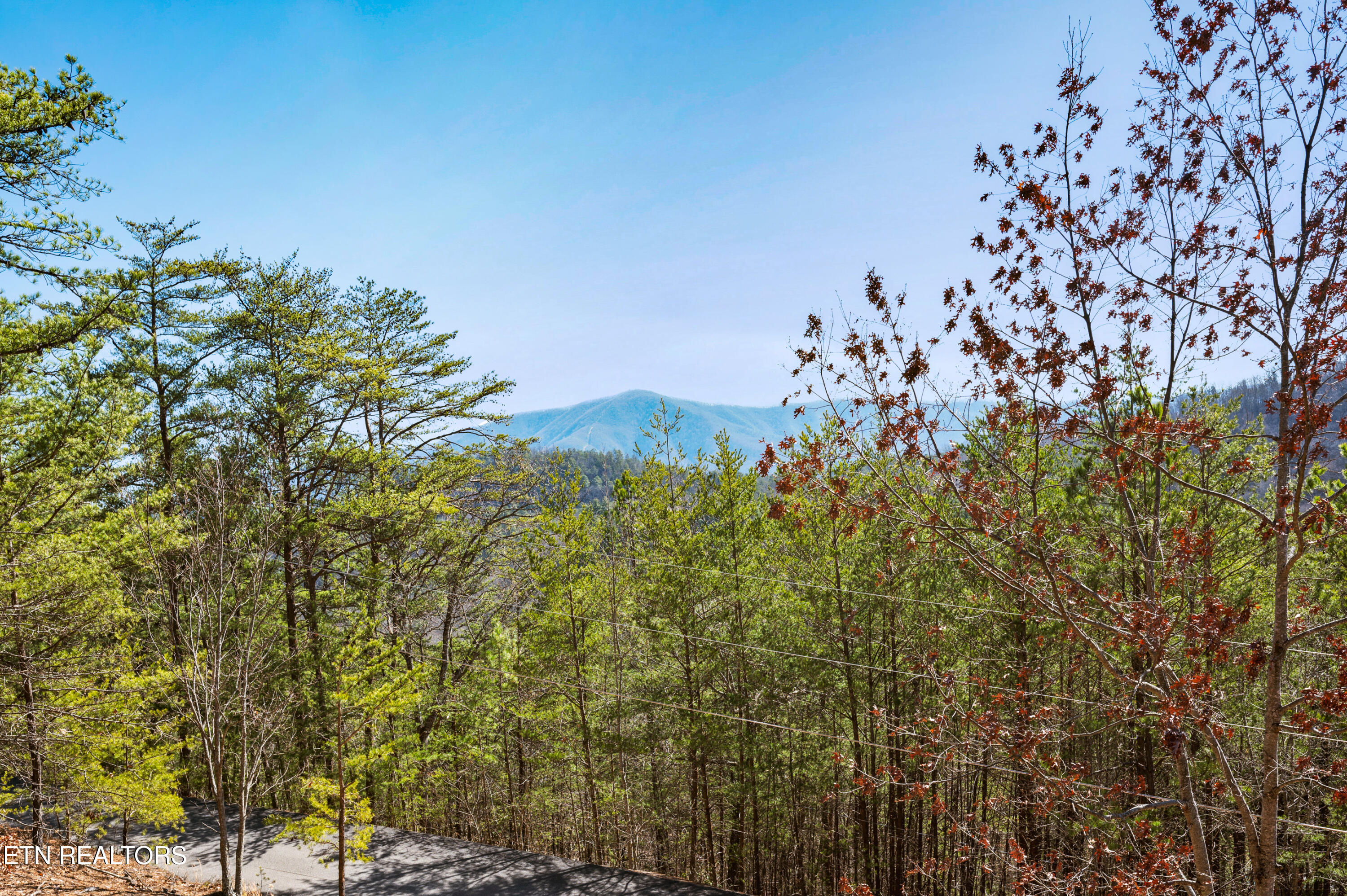 2644 Raccoon Hollow Way Sevierville TN 37862