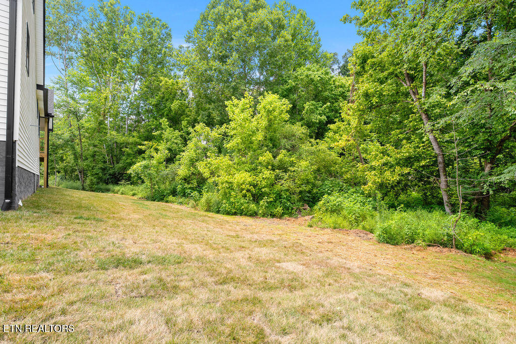 110 Elohi Lane Loudon TN 37774