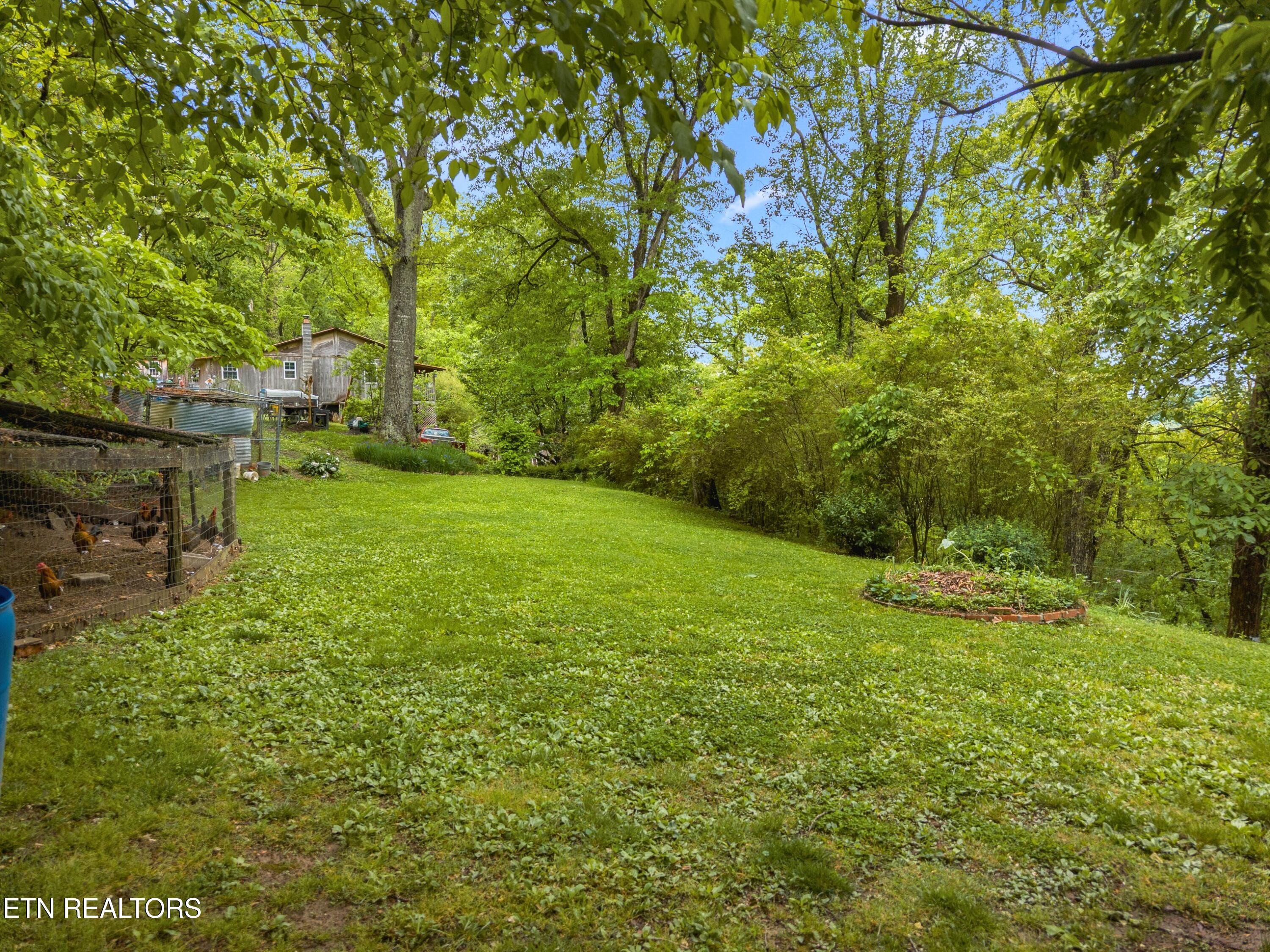 185 Trinity Lane Harrogate TN 37752