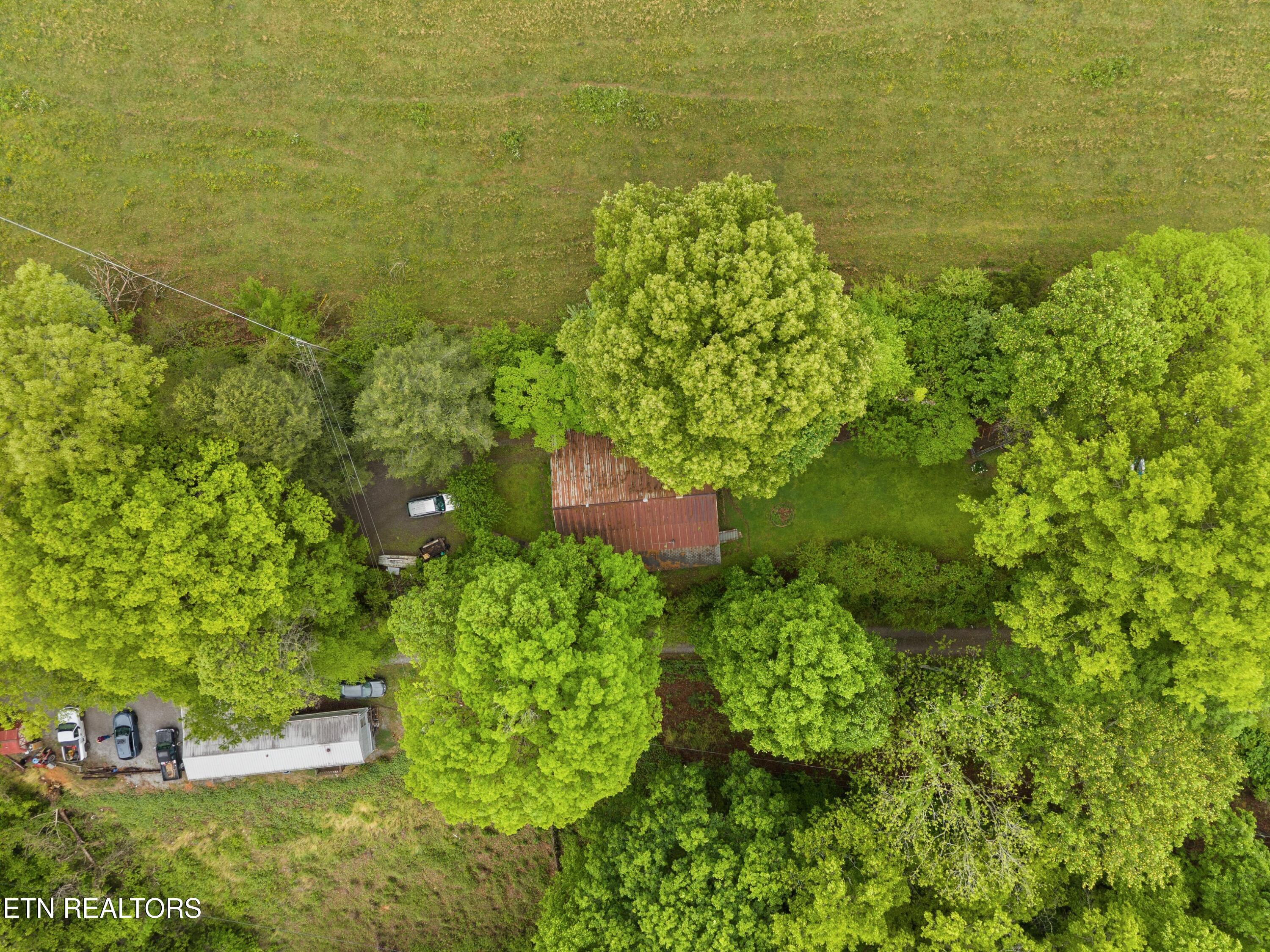 185 Trinity Lane Harrogate TN 37752