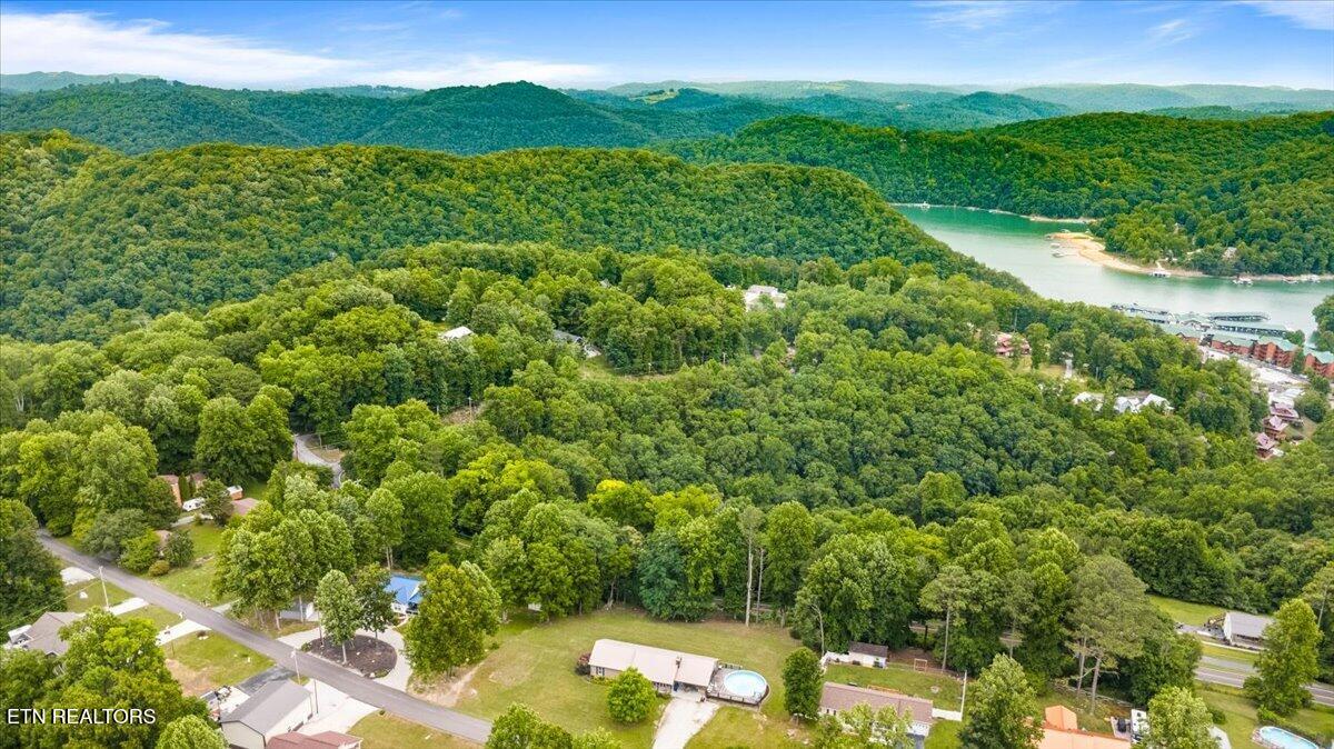168 Lakemont Lane Caryville TN 37714