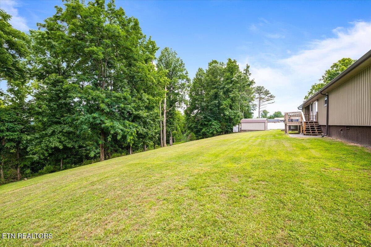168 Lakemont Lane Caryville TN 37714