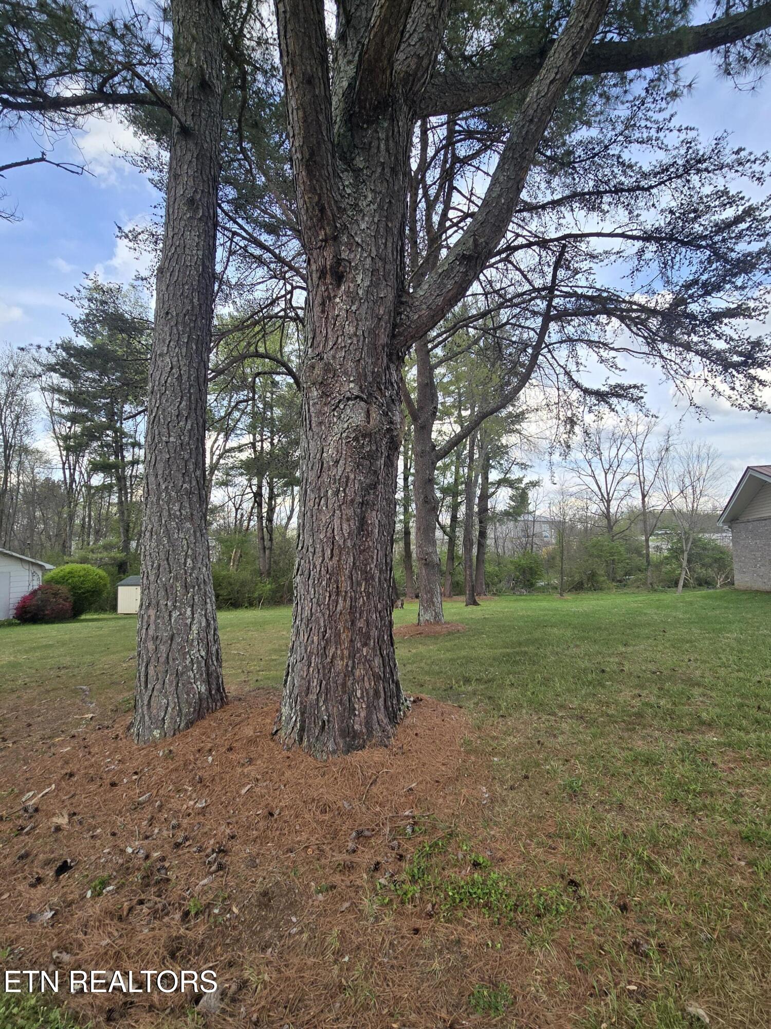 186 Stone Drive Crossville TN 38555