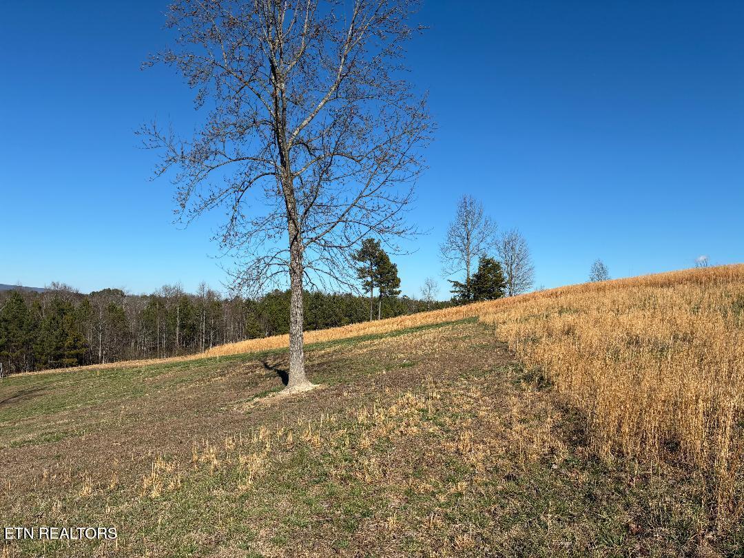 340 Hidden Pine Trail Dayton TN 37321