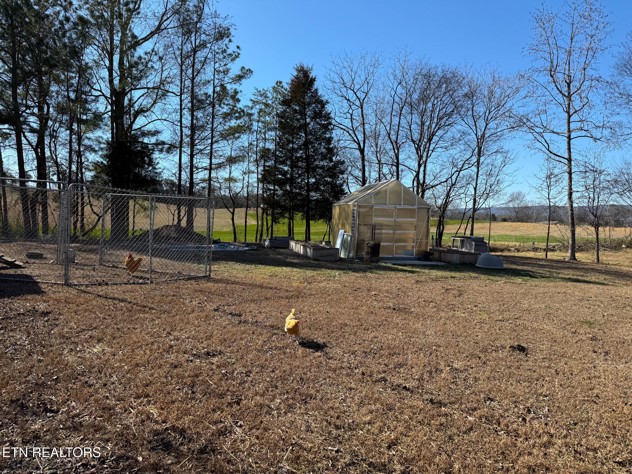 340 Hidden Pine Trail Dayton TN 37321