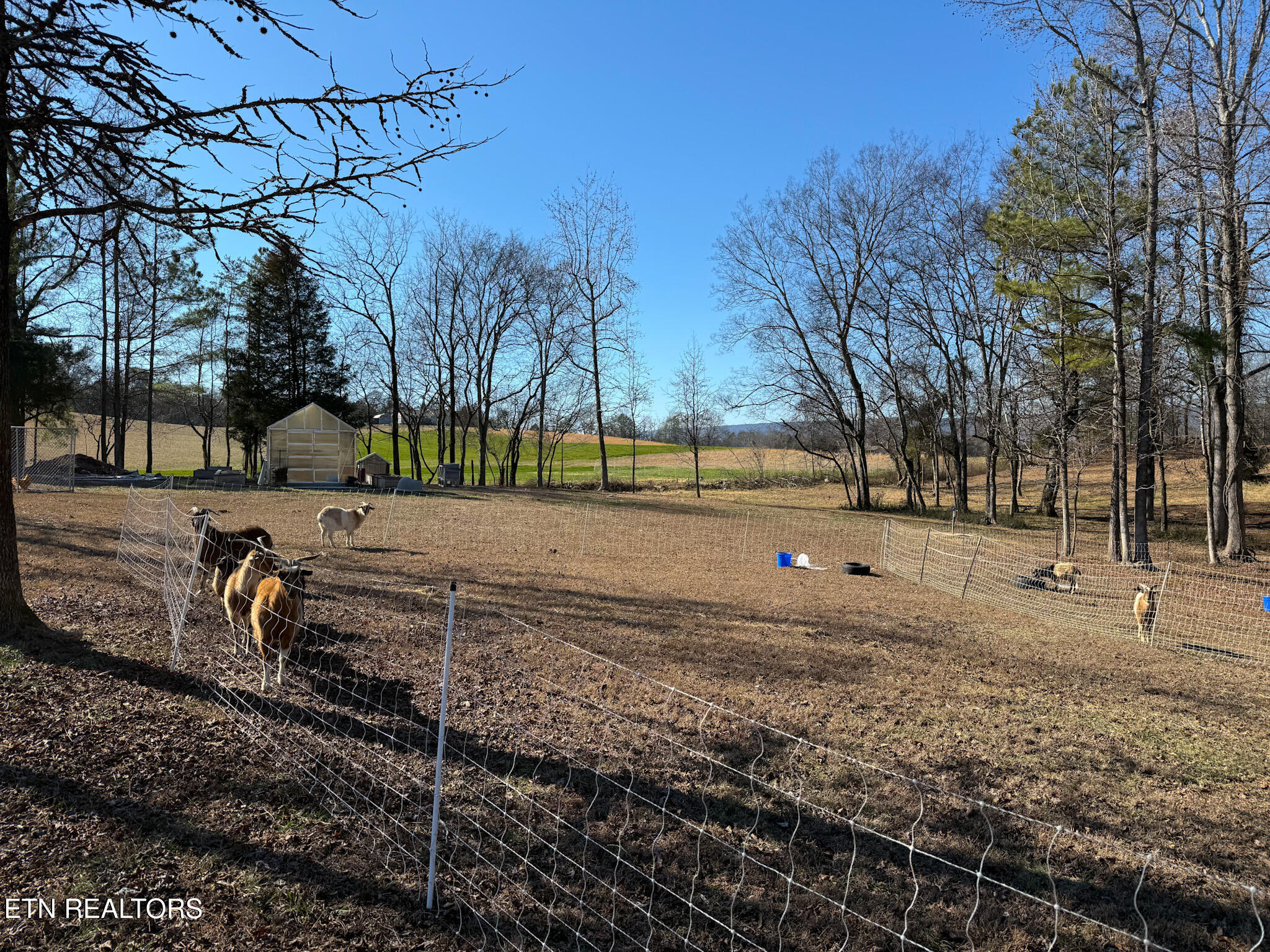340 Hidden Pine Trail Dayton TN 37321