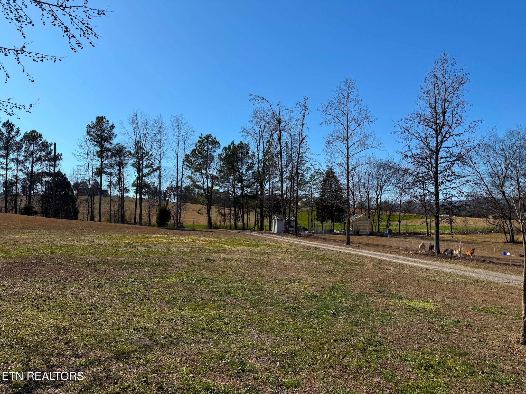 340 Hidden Pine Trail Dayton TN 37321