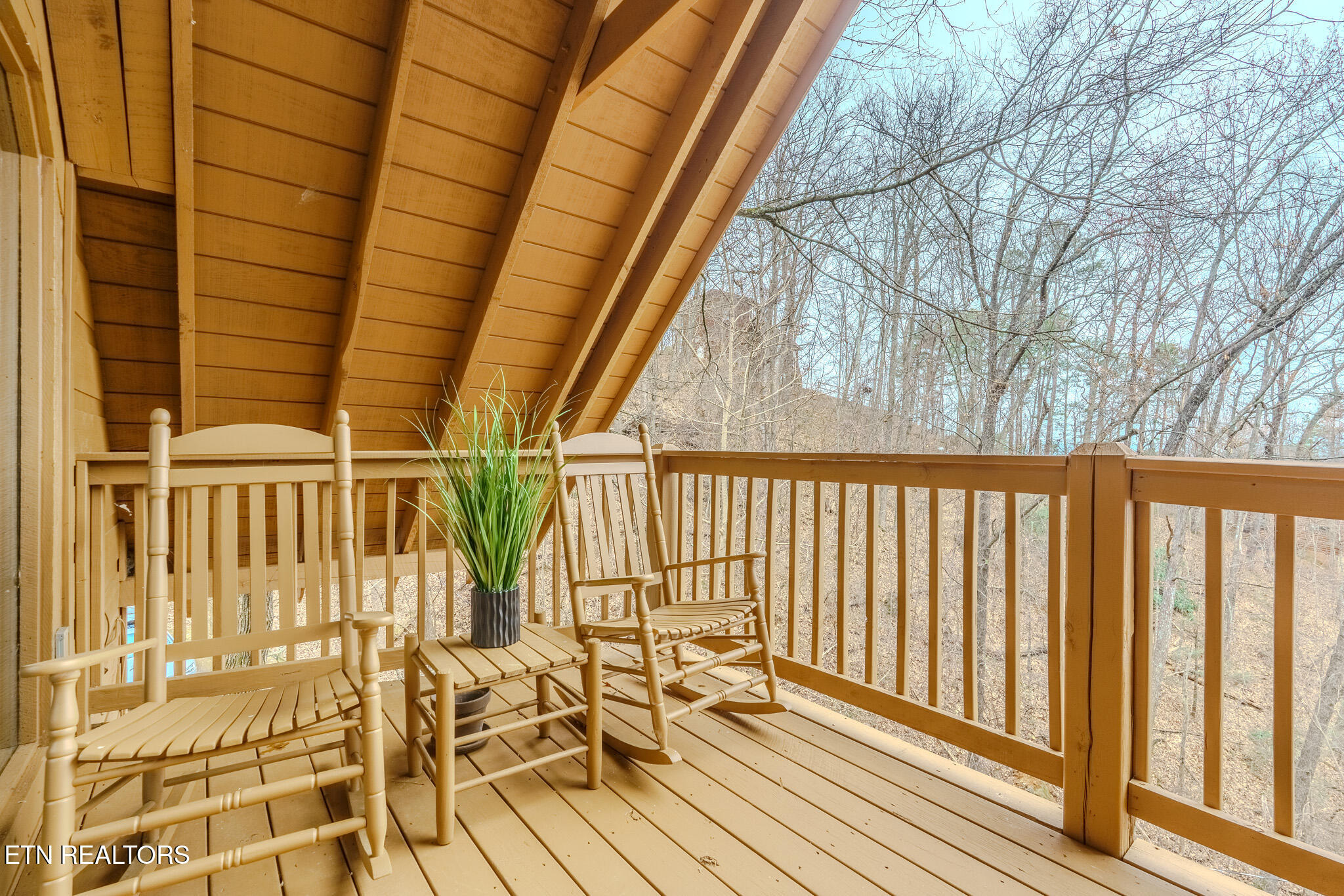 1739 W Sky View Drive Sevierville TN 37876