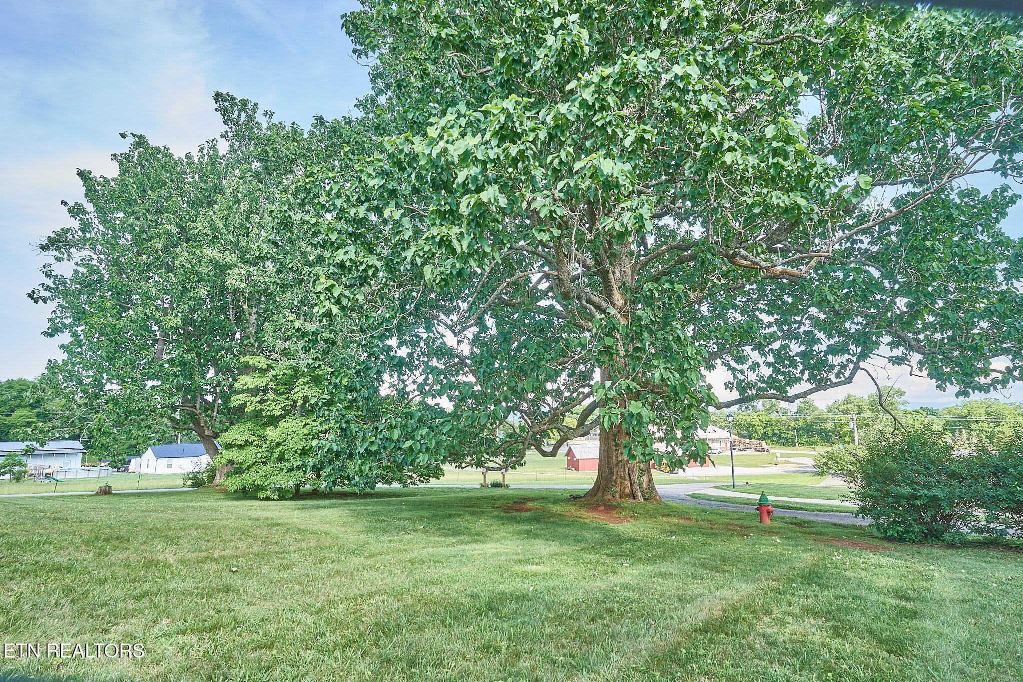 141 Pine Street Greenback TN 37742