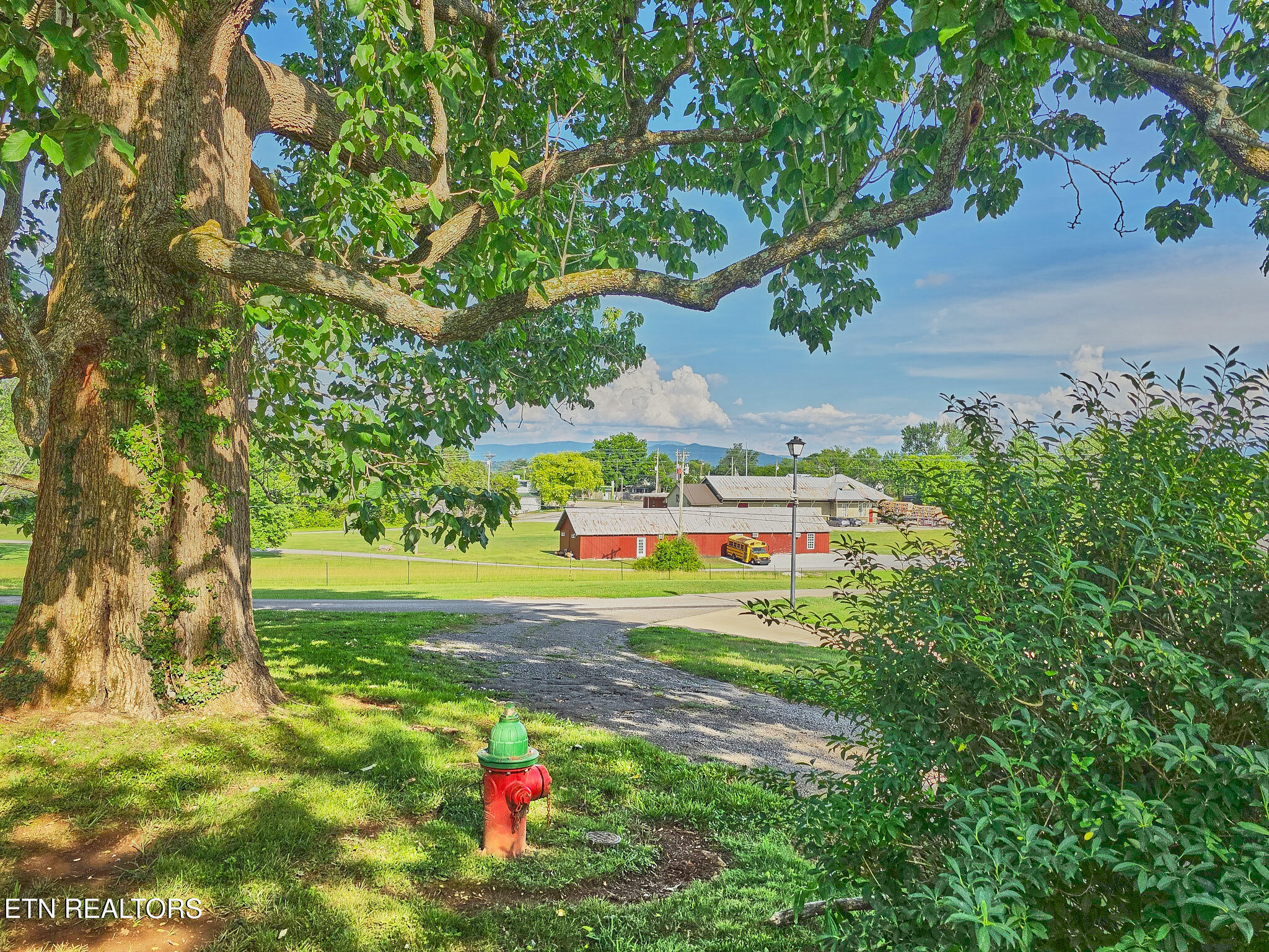 141 Pine Street Greenback TN 37742