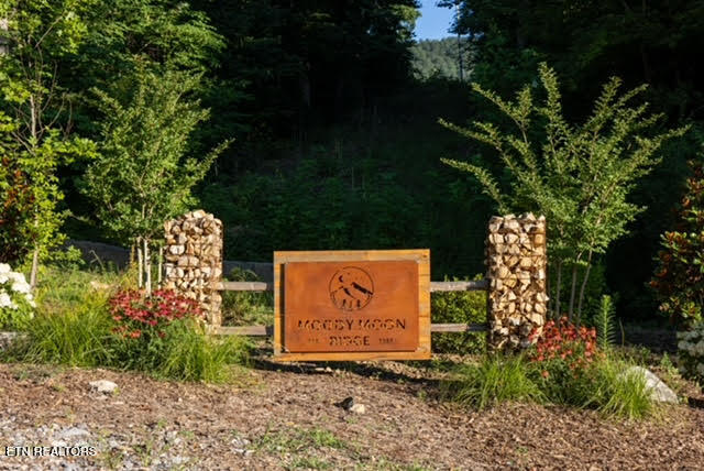 Lot 15 Moody Moon Ridge Way Newport TN 37821