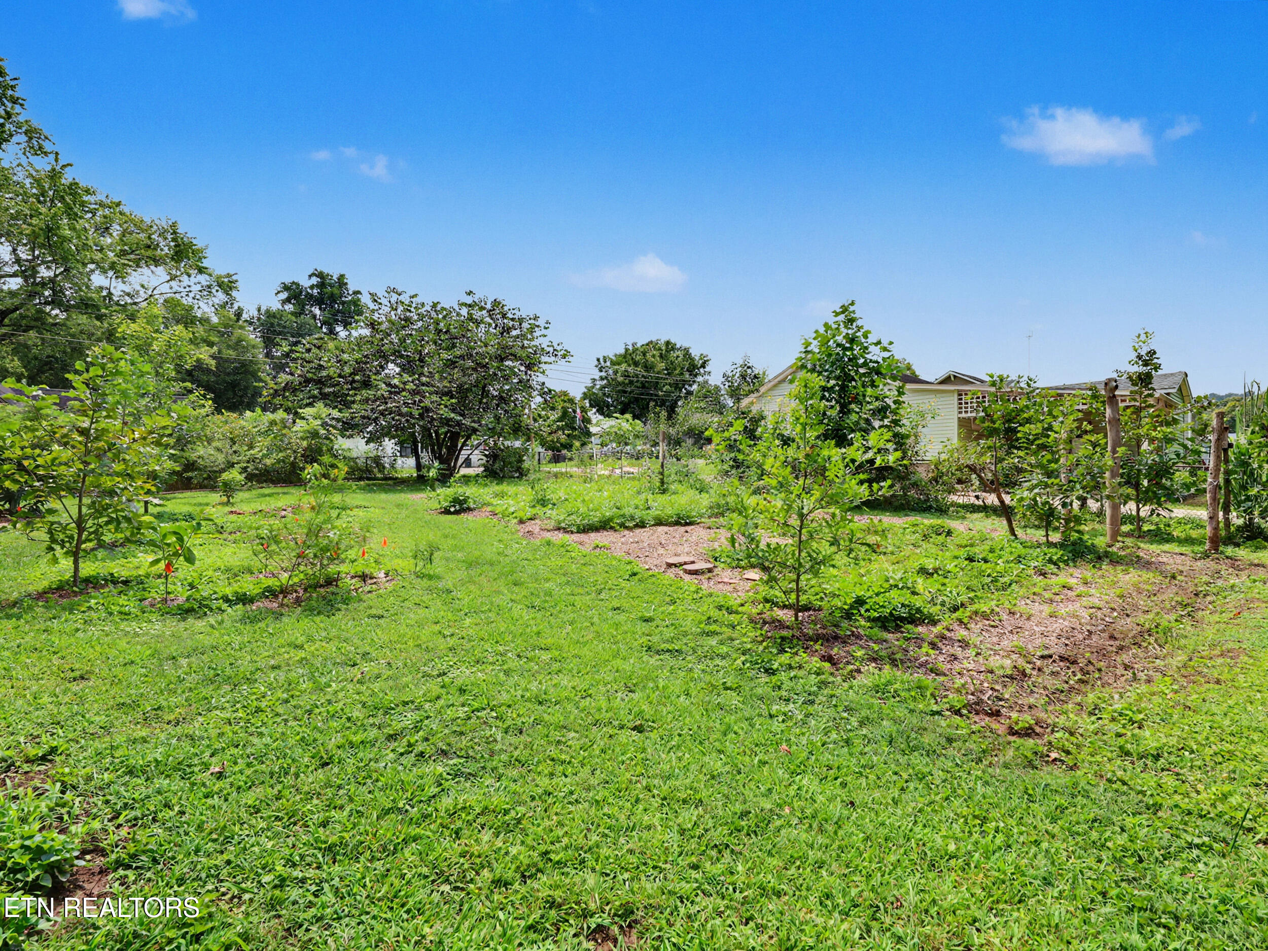 1127 Rider Avenue Knoxville TN 37917