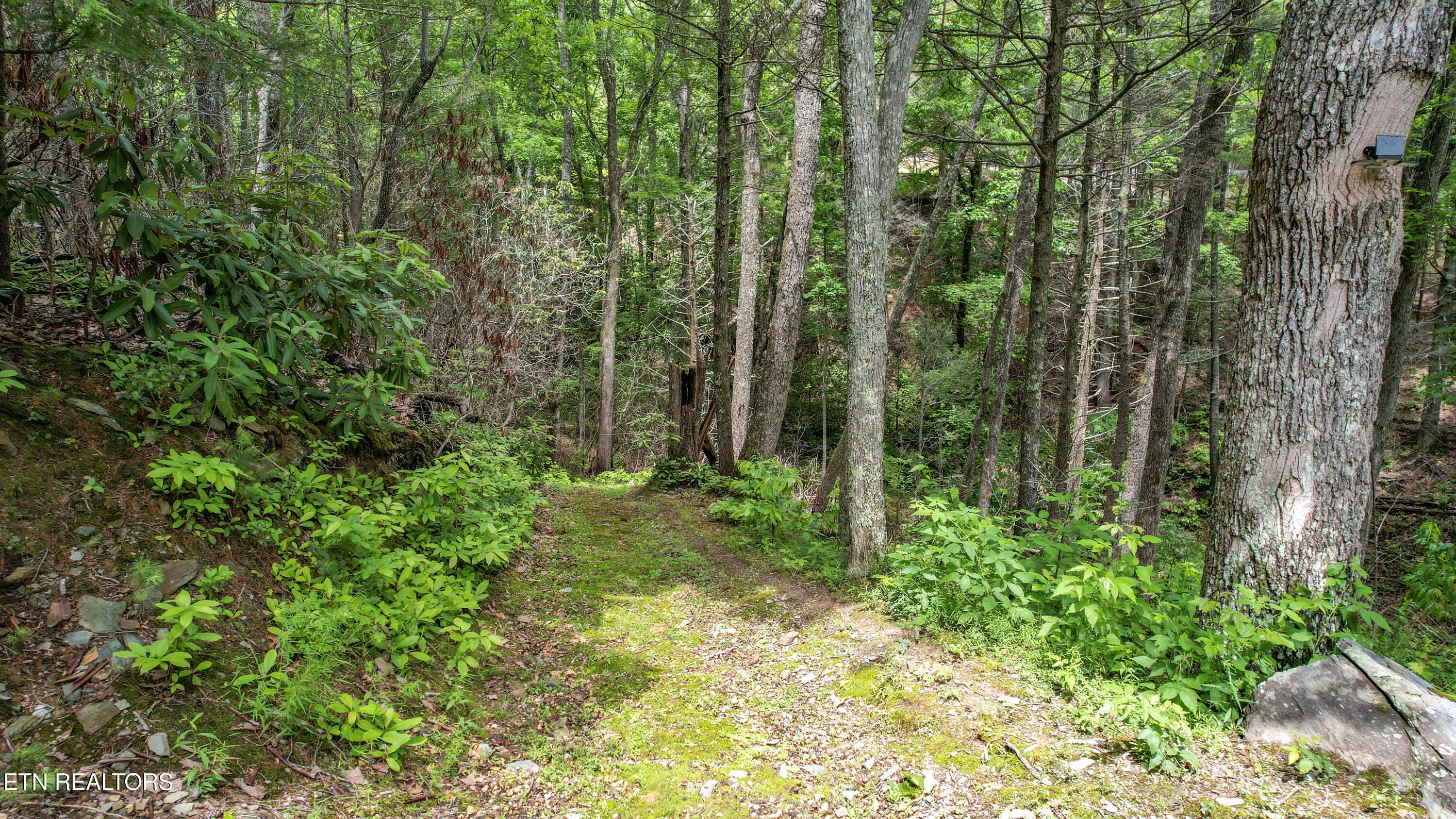 201 Holder Cemetery Road Tellico Plains TN 37385