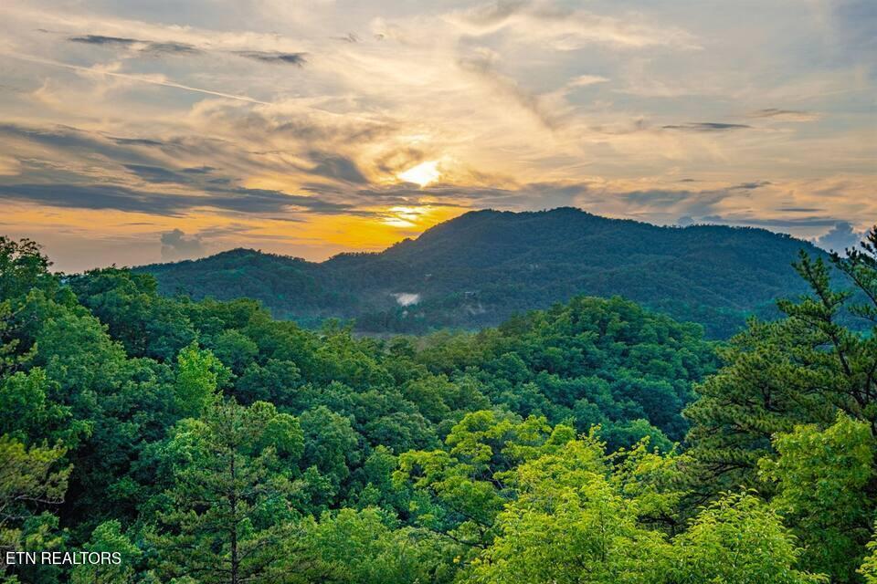 3321 Grouse Ridge Lane Sevierville TN 37862