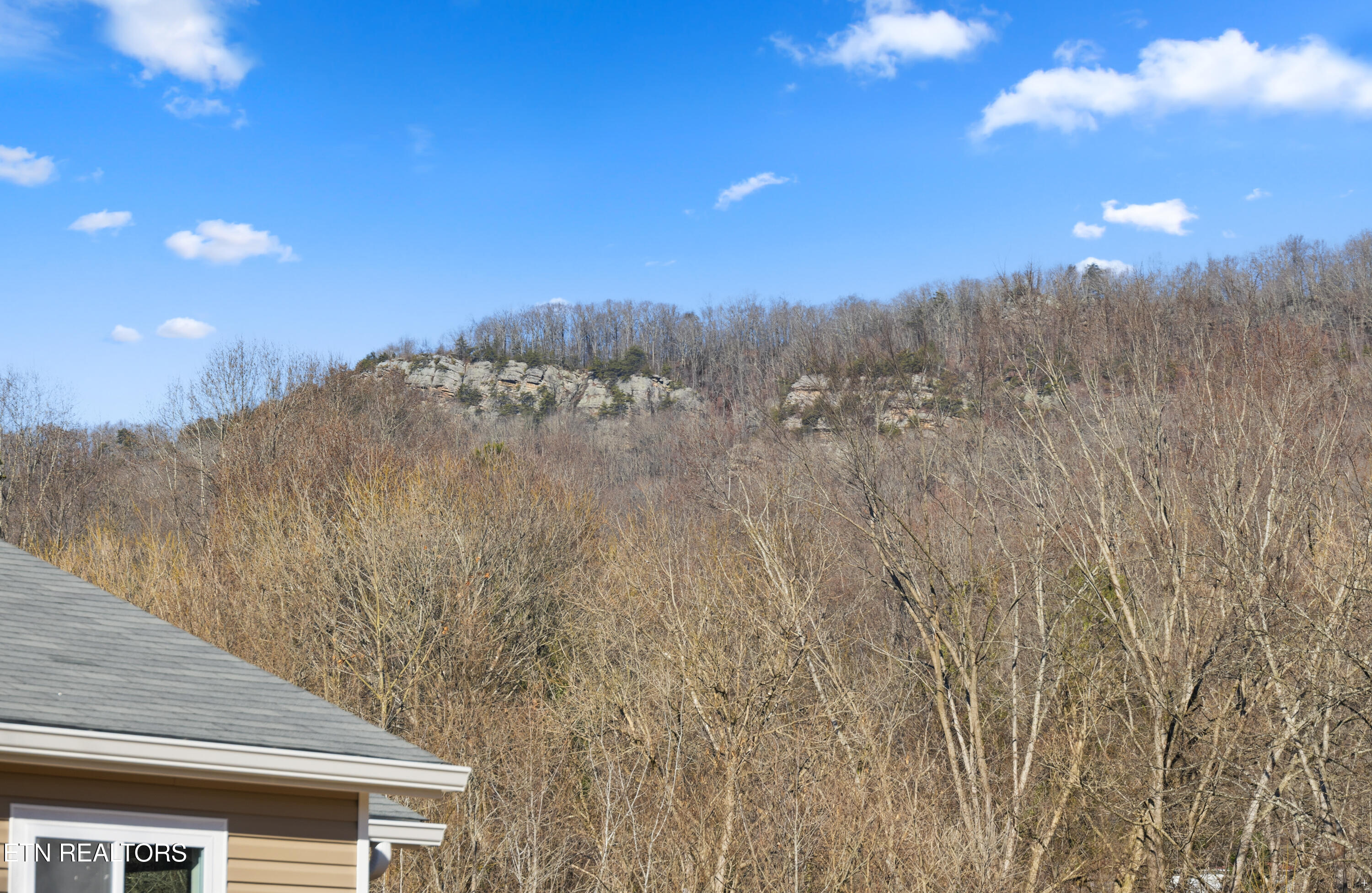 109 Bradys Way Harriman TN 37748