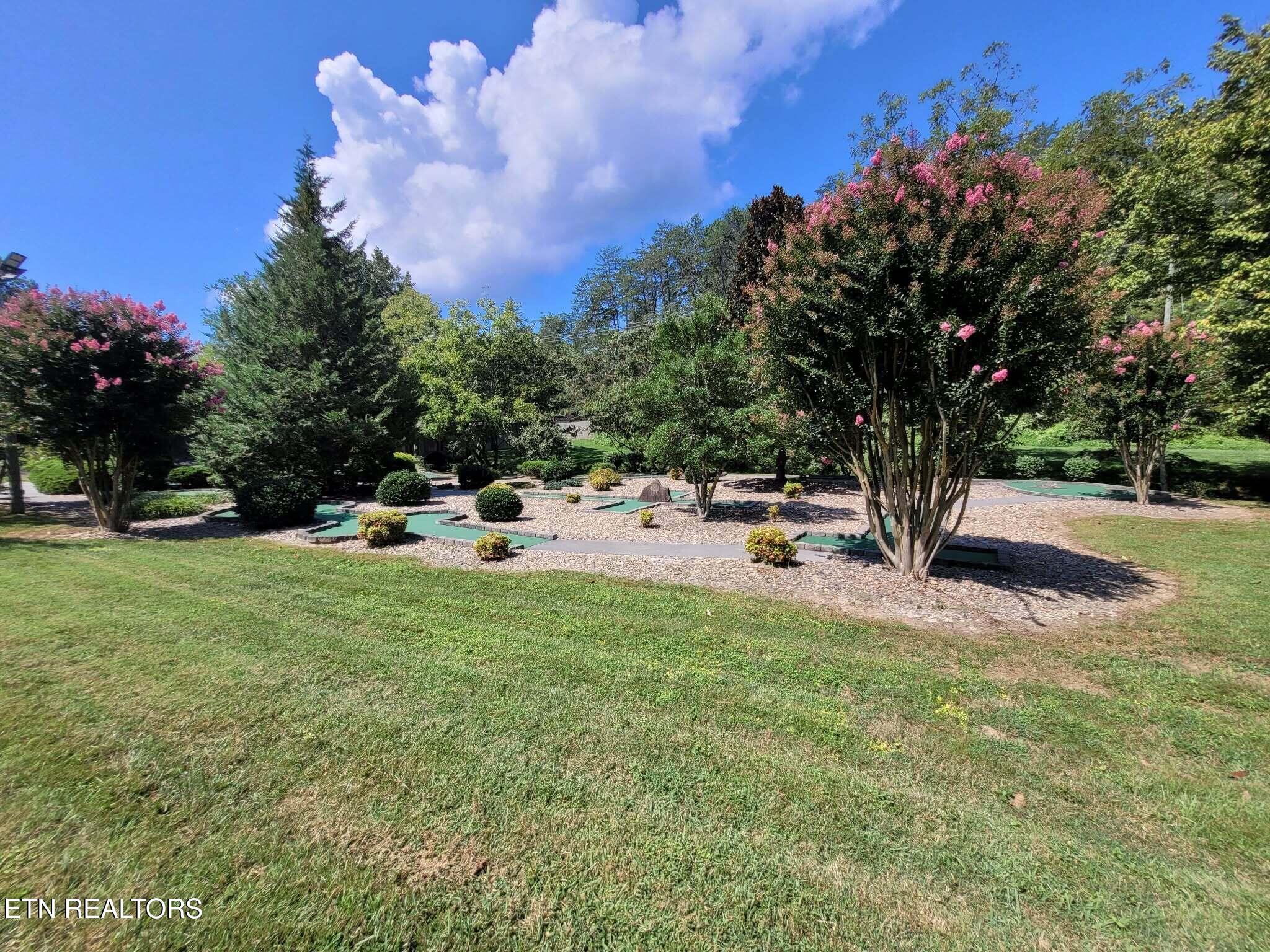 2060 Bear Haven Way Sevierville TN 37876