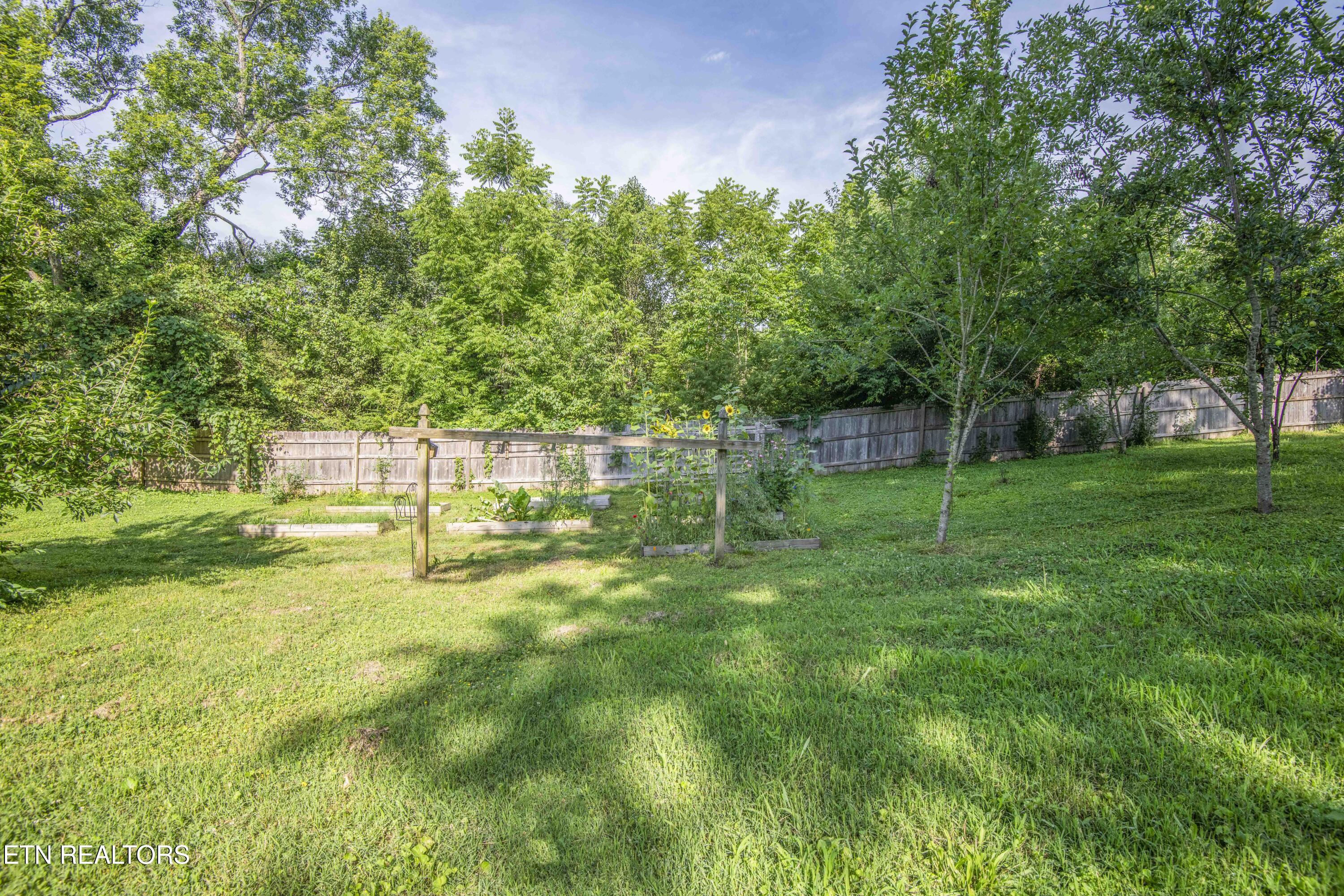 1255 Pinecrest Circle Lenoir City TN 37772