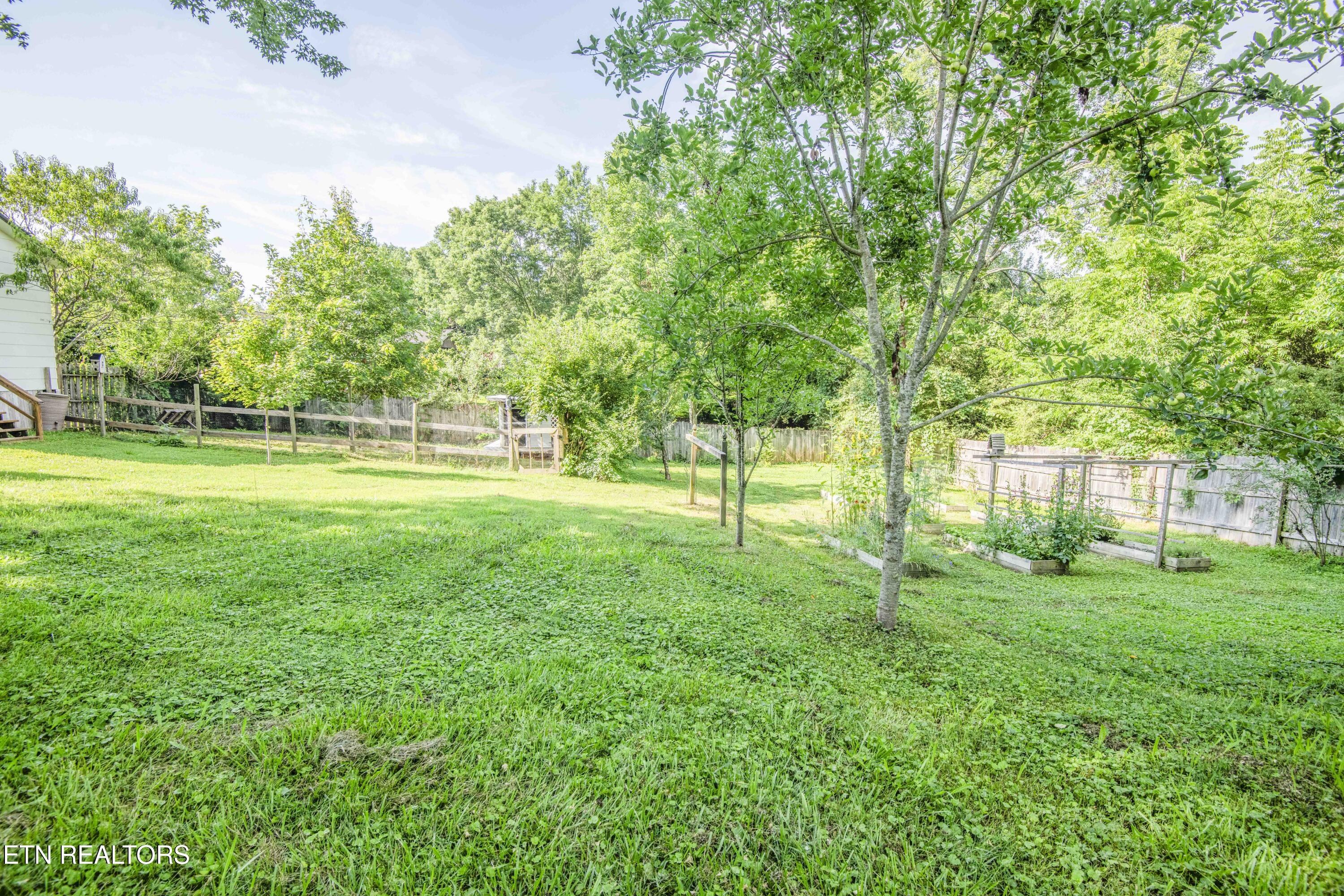 1255 Pinecrest Circle Lenoir City TN 37772