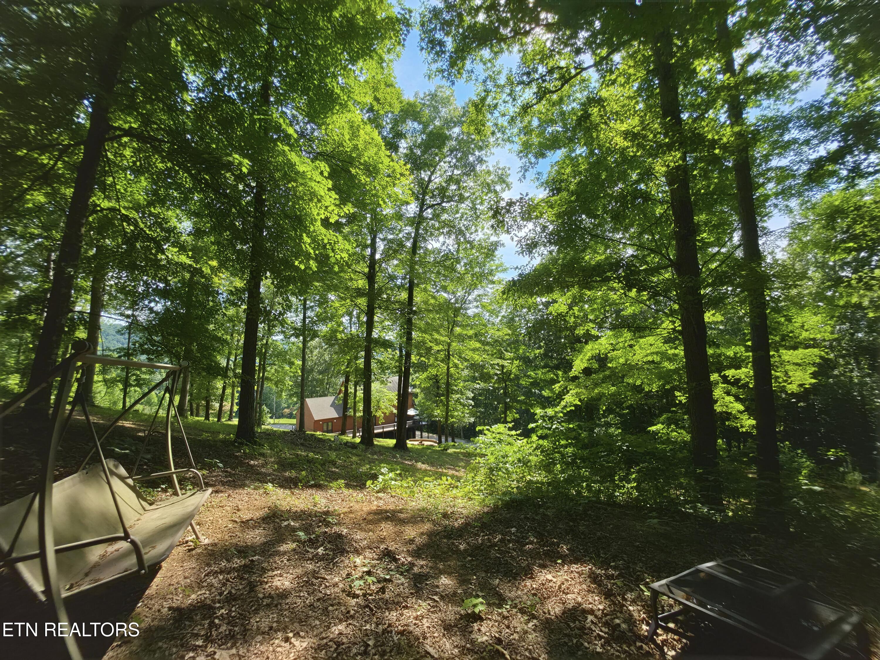 103 Pinnacle Pointe Way Sharps Chapel TN 37866