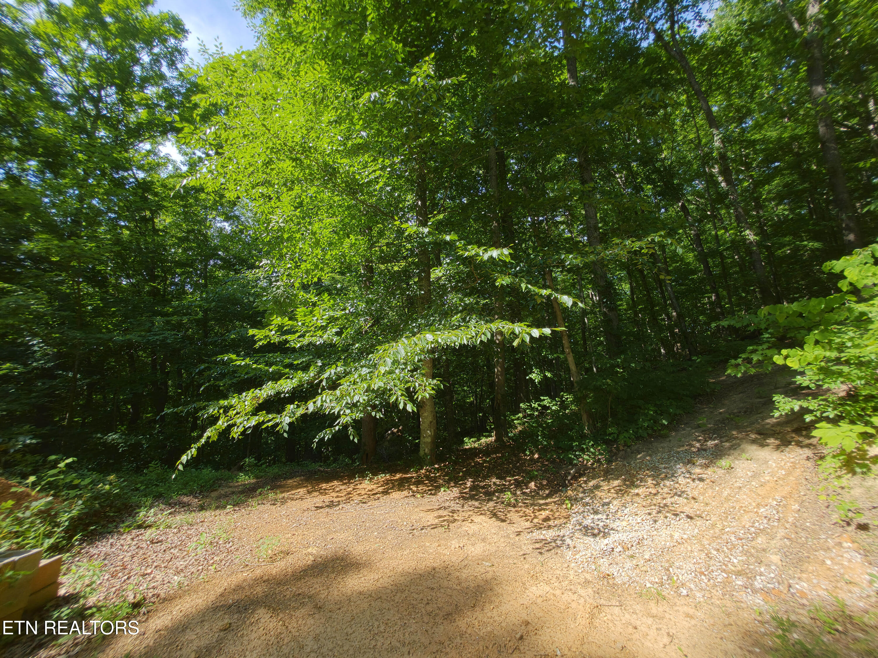 103 Pinnacle Pointe Way Sharps Chapel TN 37866