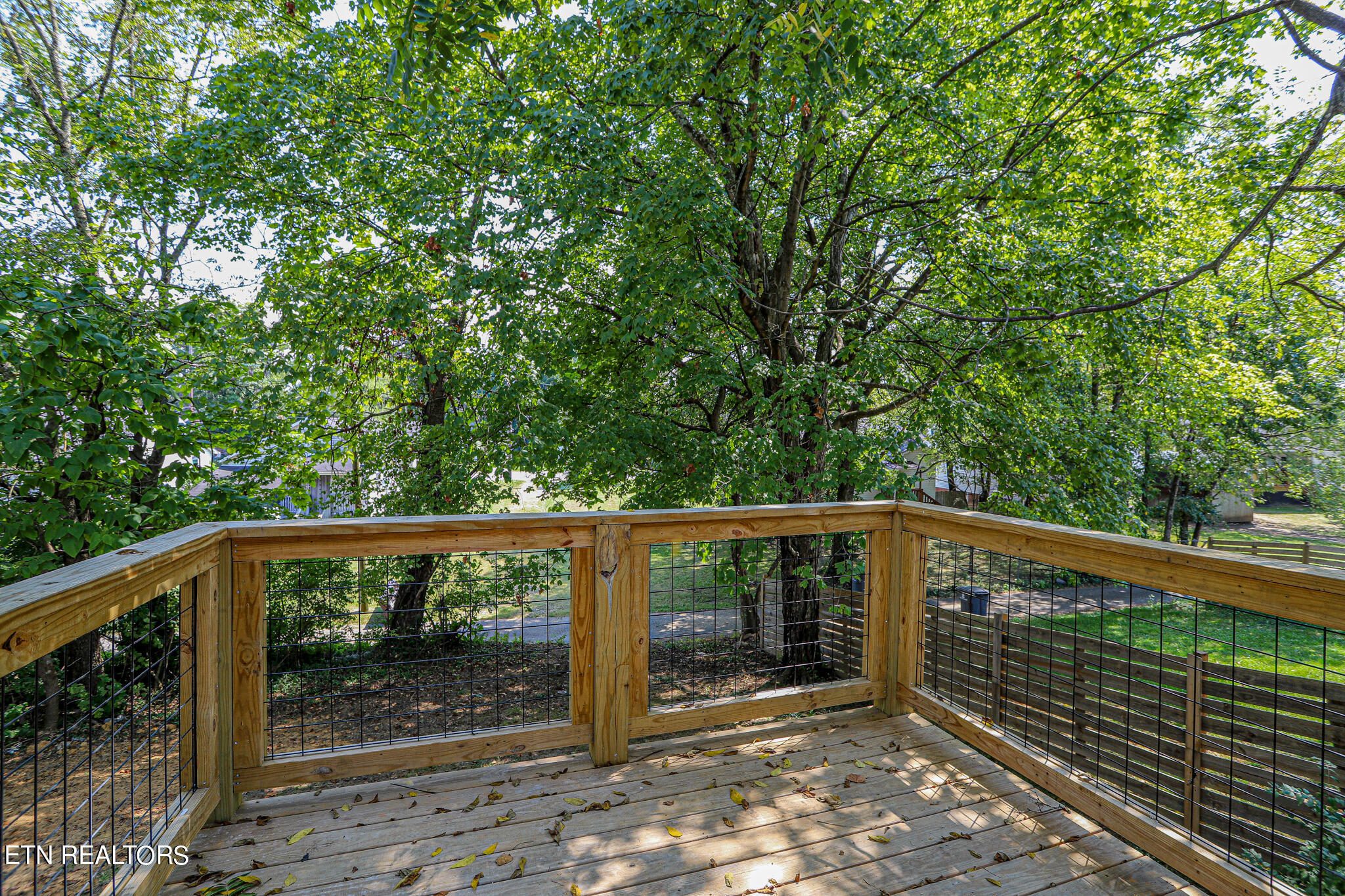 4002 Seahorn Avenue Knoxville TN 37914