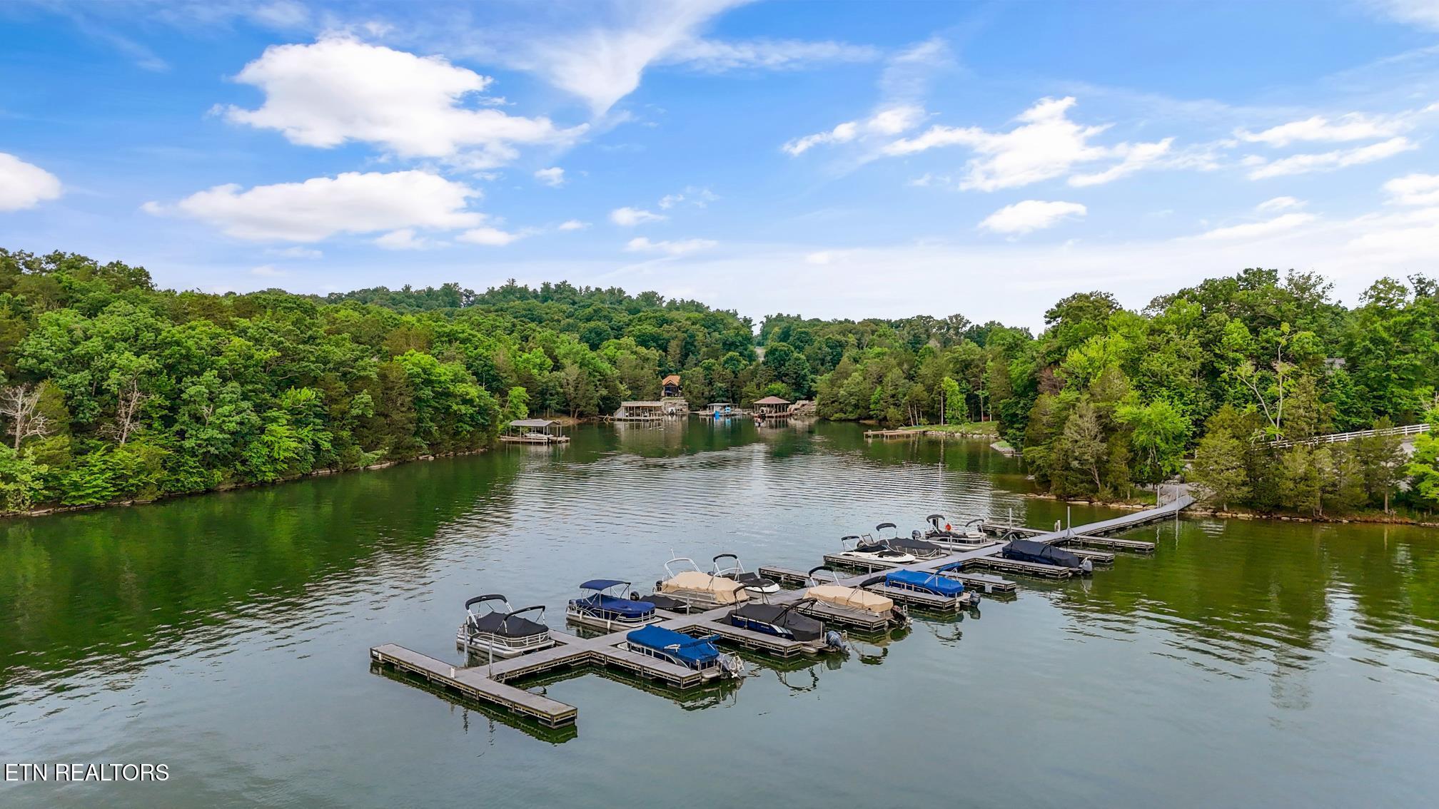 155 E Shore Drive Rockwood TN 37854