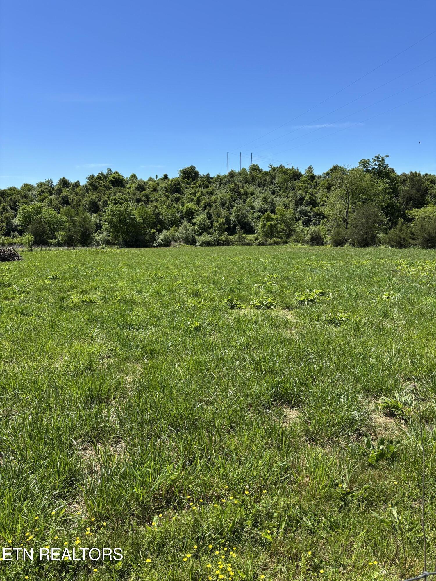 516 Thomas Road Speedwell TN 37870