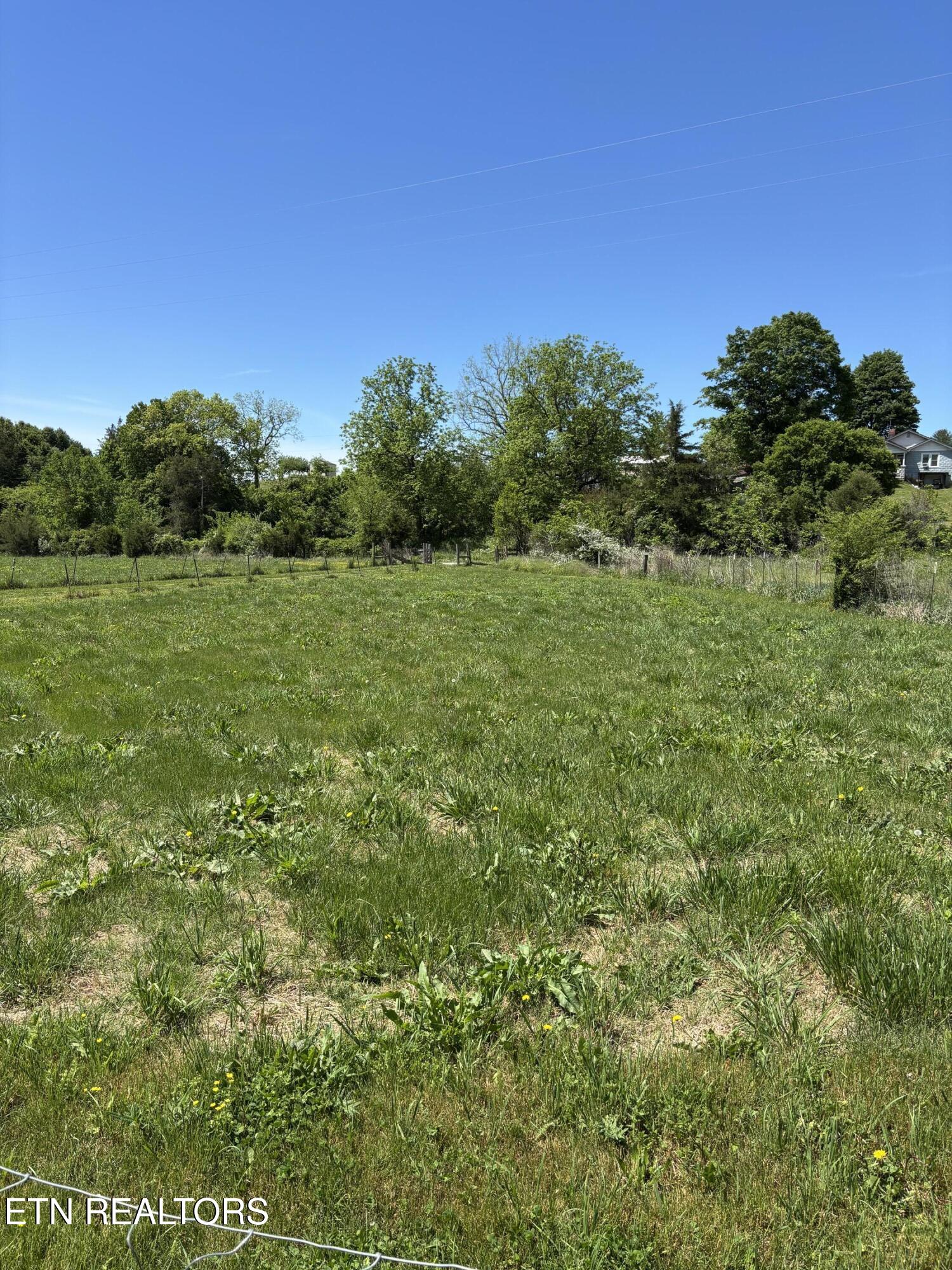 516 Thomas Road Speedwell TN 37870