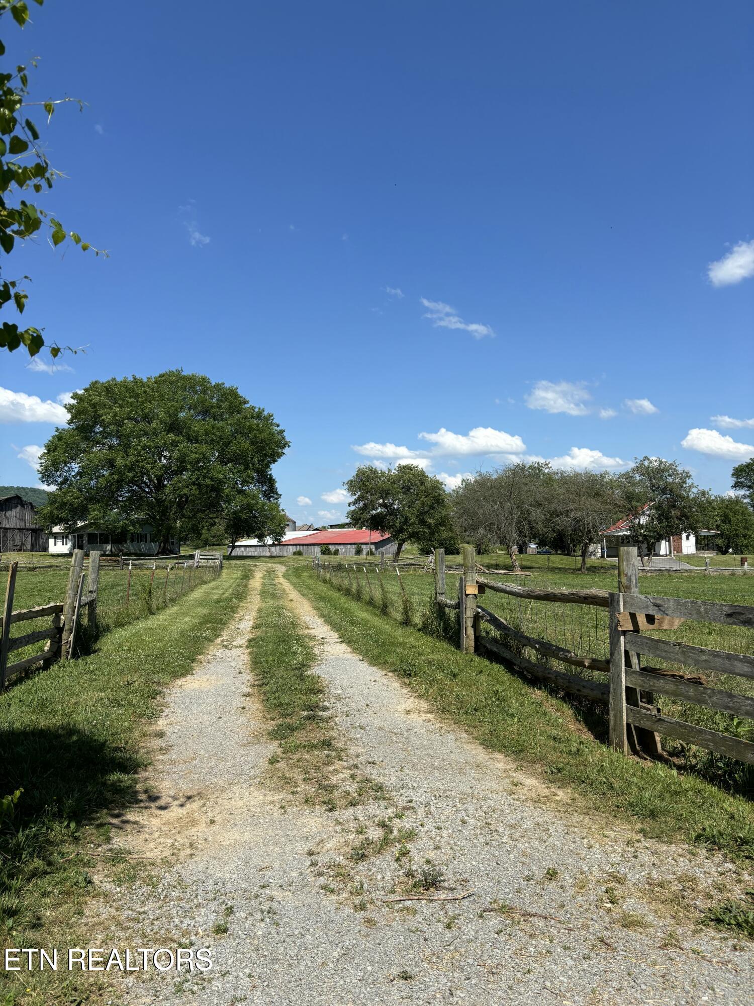 516 Thomas Road Speedwell TN 37870
