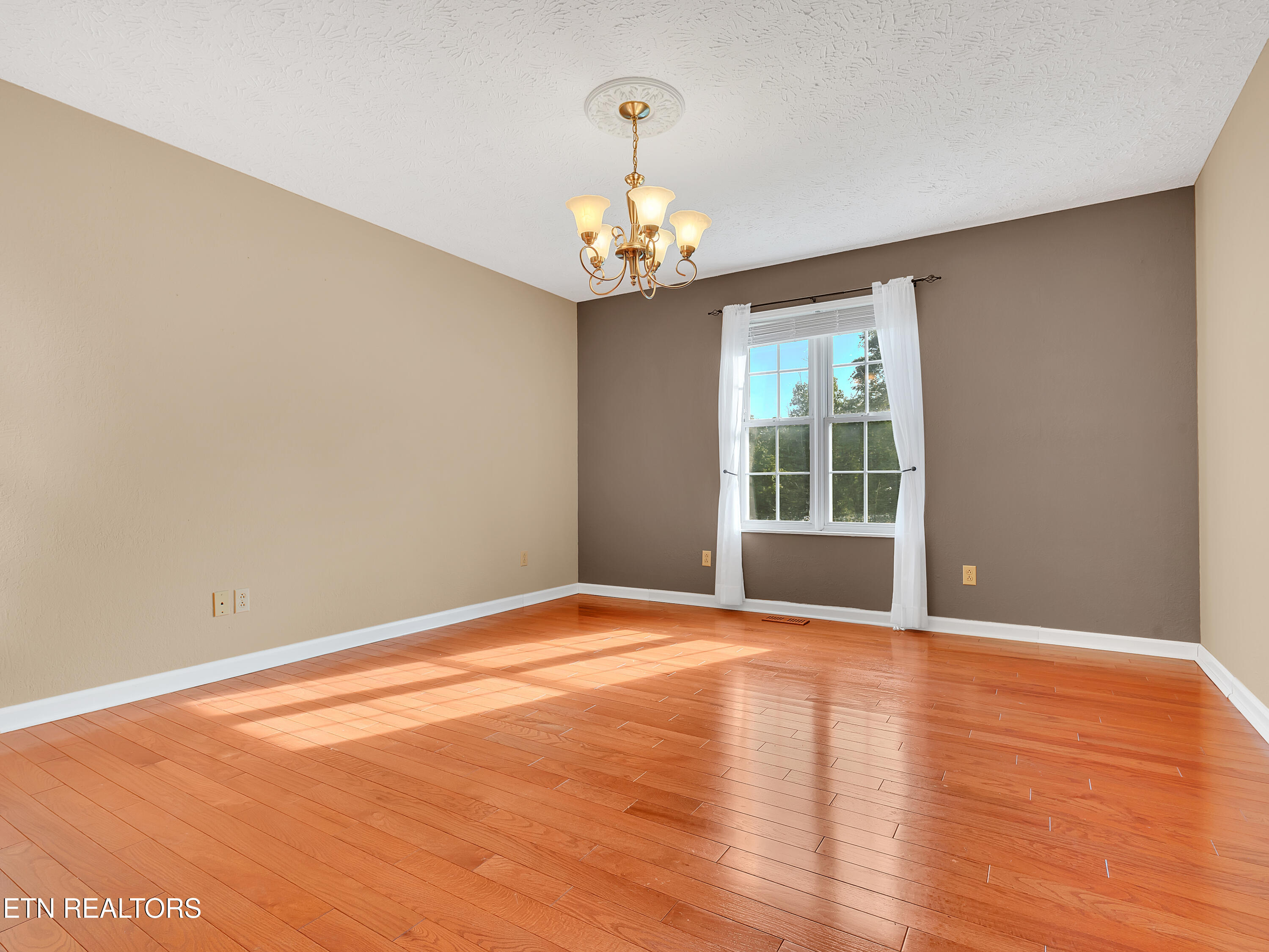 290 Whitaker Hollow Road Rocky Top TN 37769