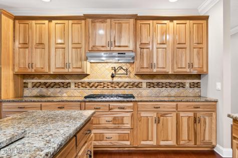 371 Pin Oak Drive Rockwood TN 37854