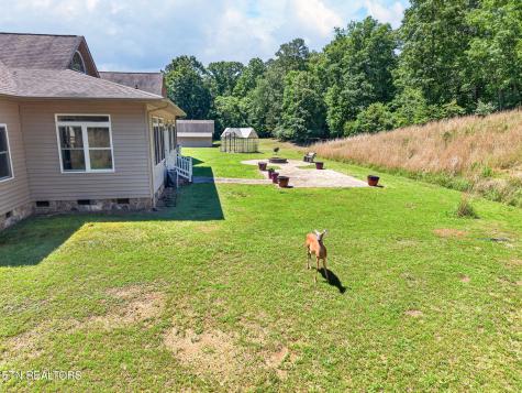 371 Pin Oak Drive Rockwood TN 37854